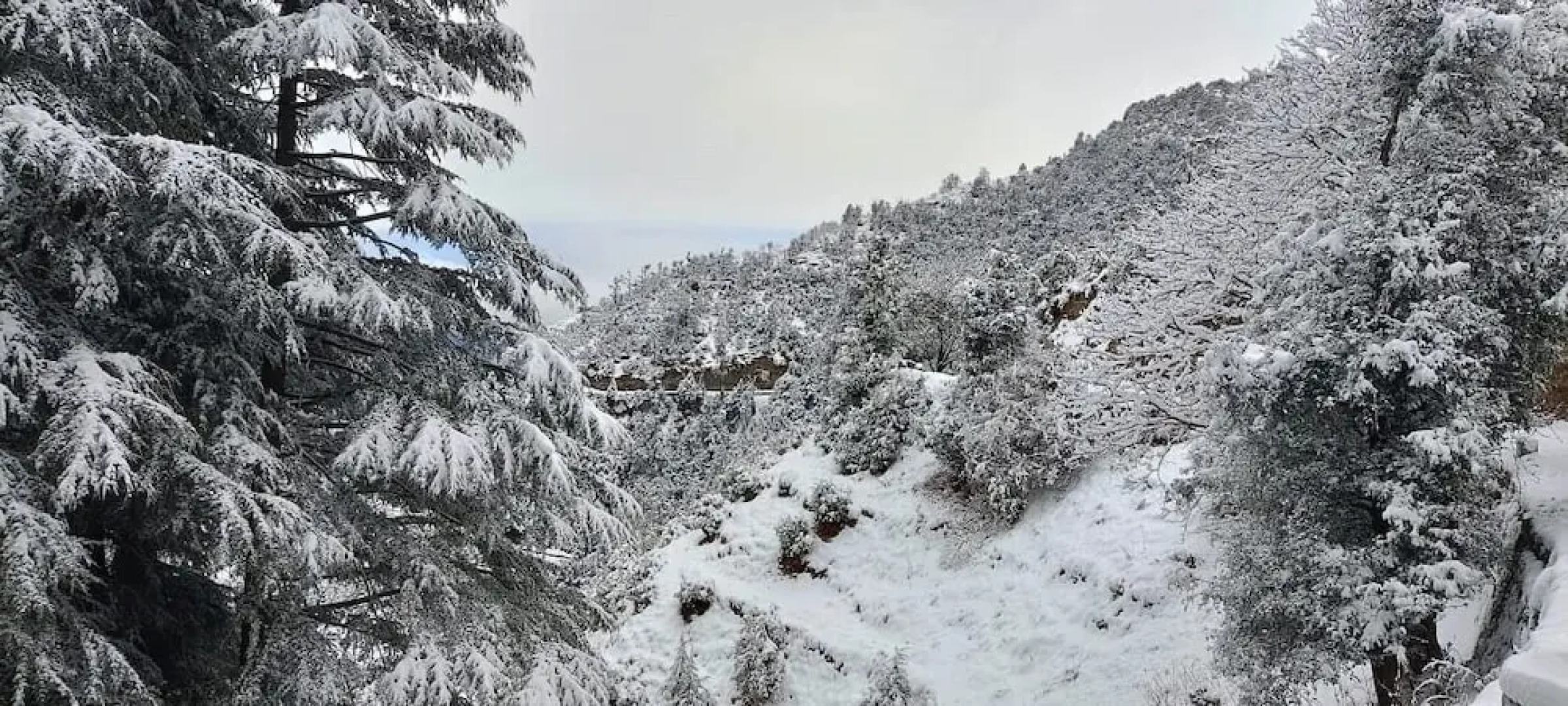 The Vintage Hill Village