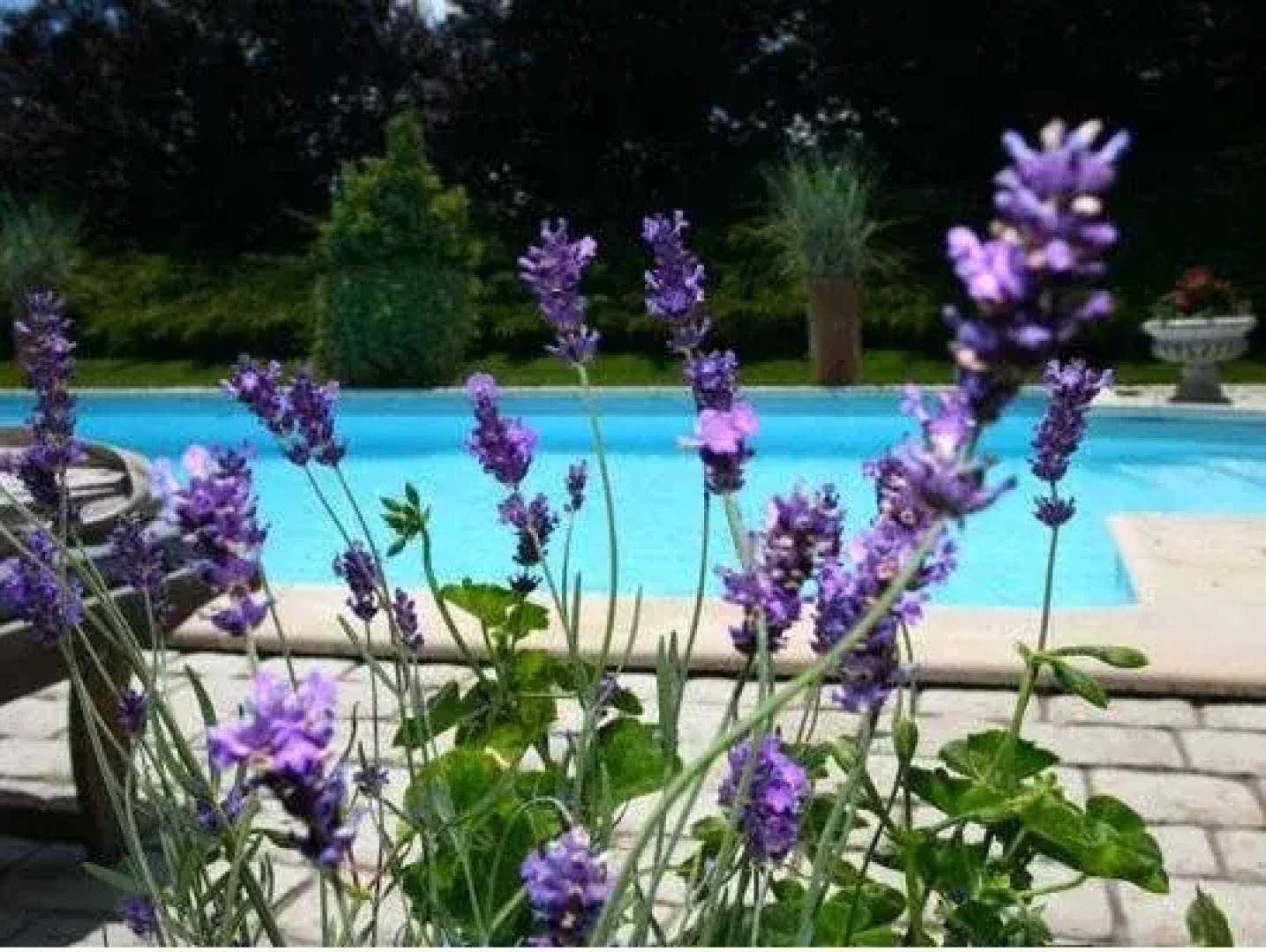 Domaine de la Blonnerie