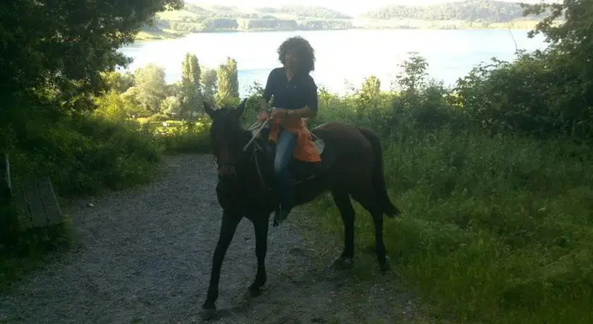 Cavallo Di Fiori - Agriscuderia