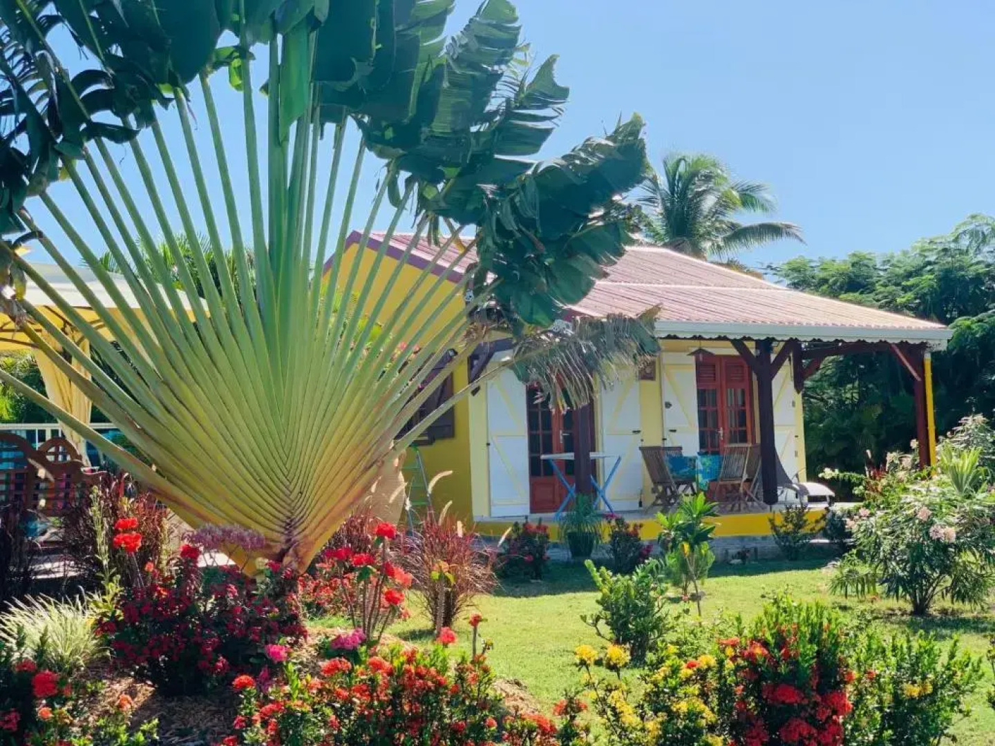 Les Palmes du Moulin