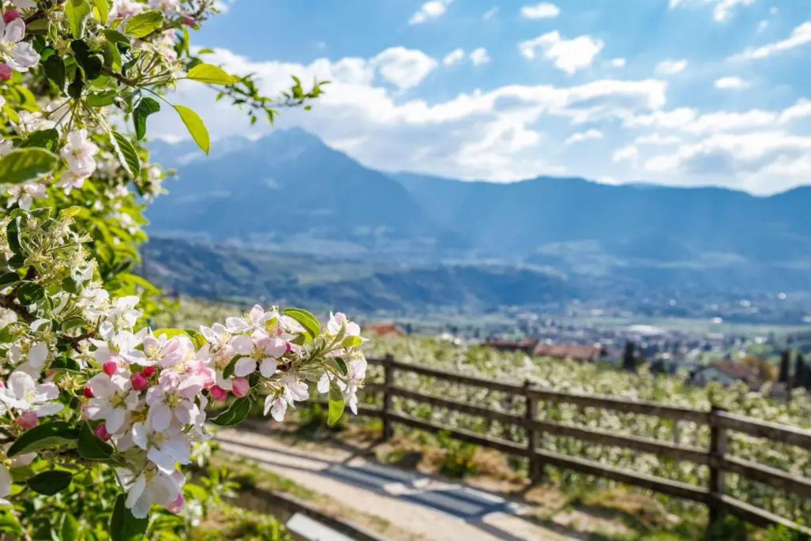 FAYN garden retreat hotel