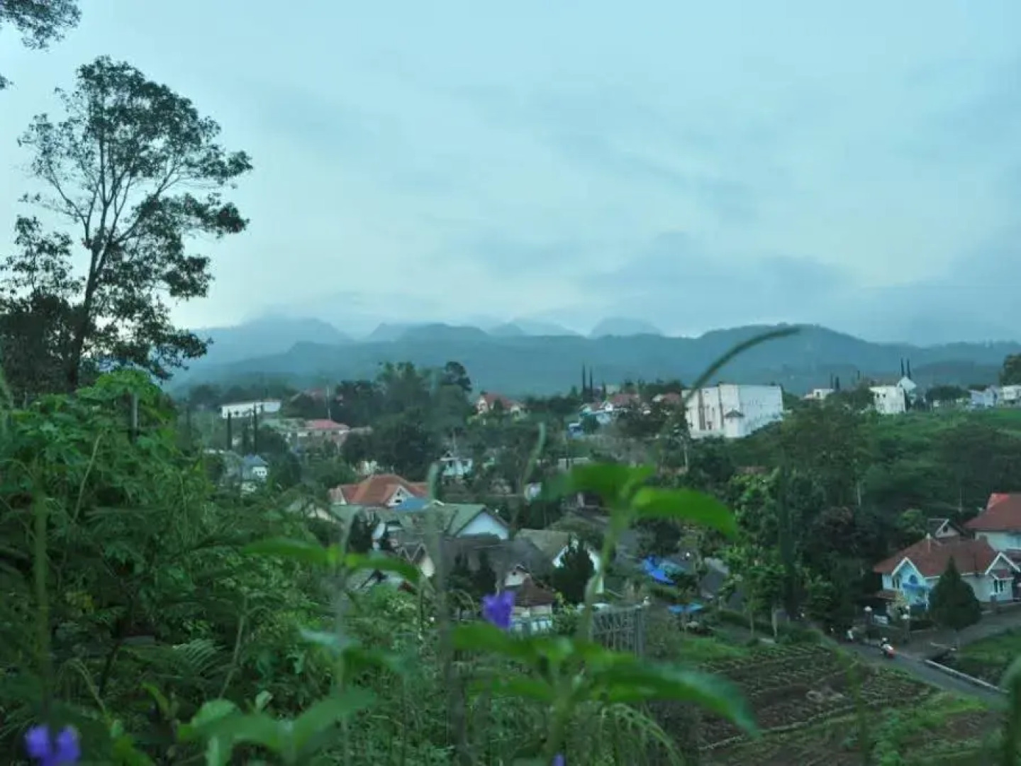 Villa Pacet Damar Sewu
