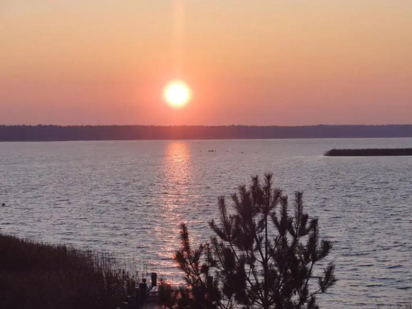 Ferienwohnung Hornfisch