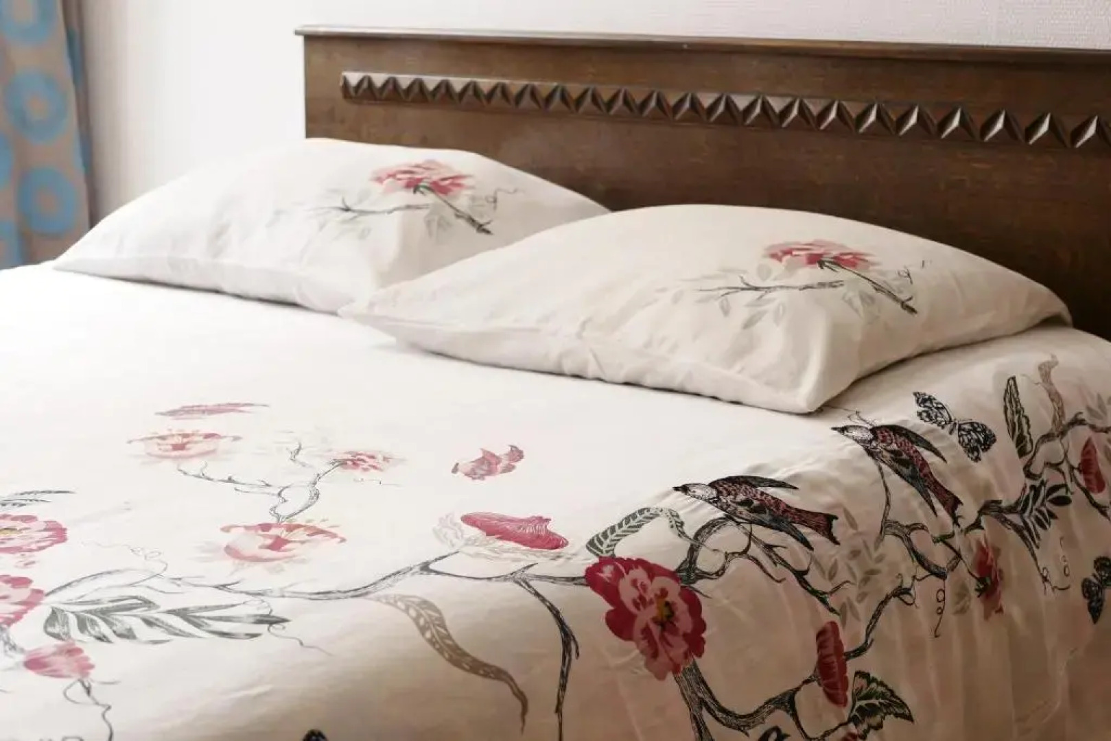 Les Oiseaux de Passage