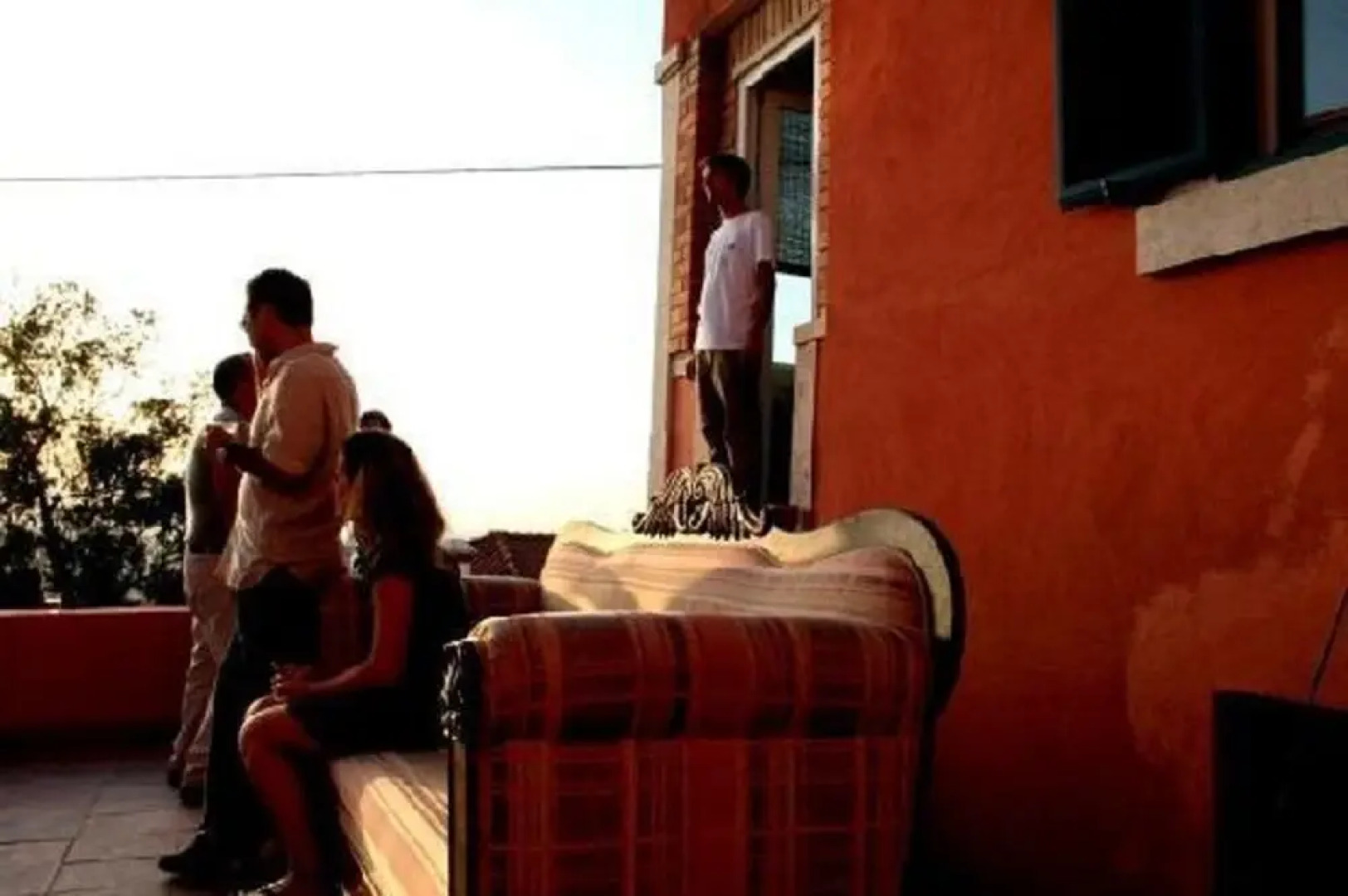 Shepinetree - Pinheira House