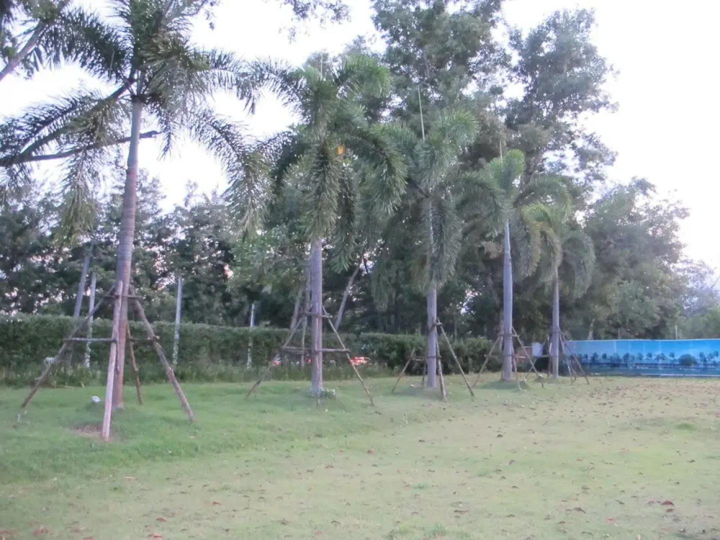 Amaretto Hostel&Amaretto De coffee Home