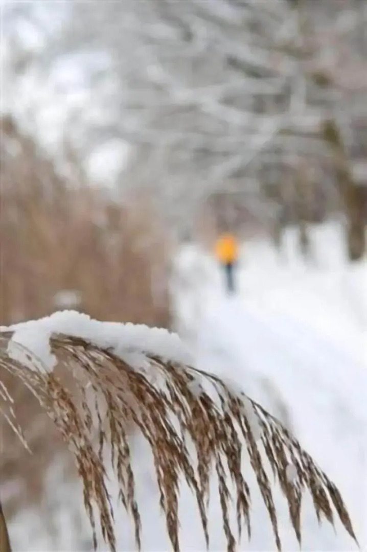 Seehotel Mühlenhaus