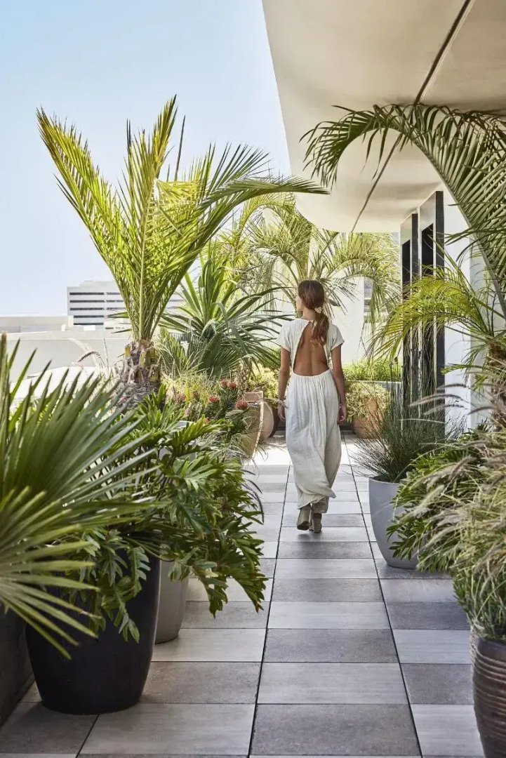 Santa Monica Proper Hotel, a Member of Design Hotels