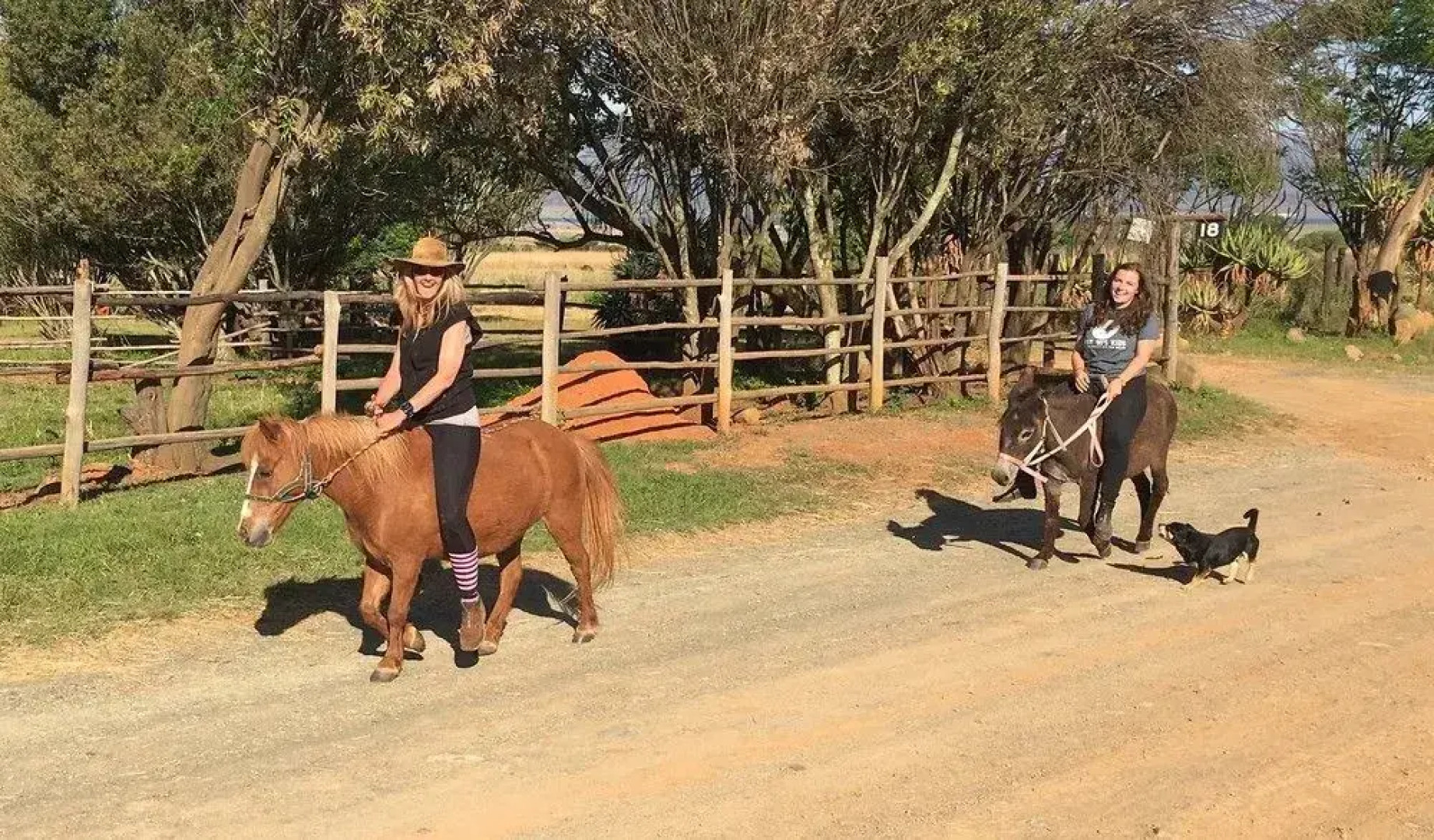 Lydenrust Guest Farm and Horse Trails