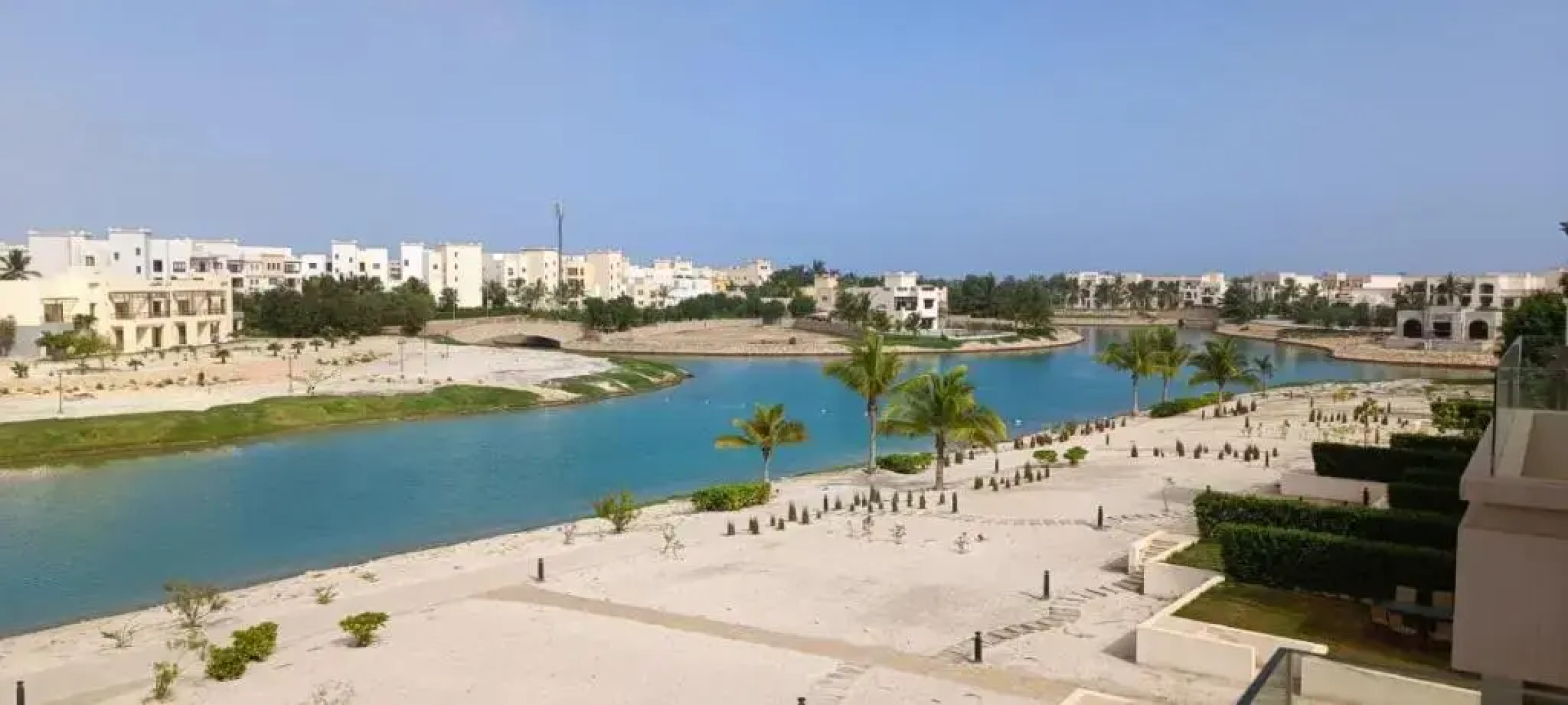 Acacia Flower AC 8-201