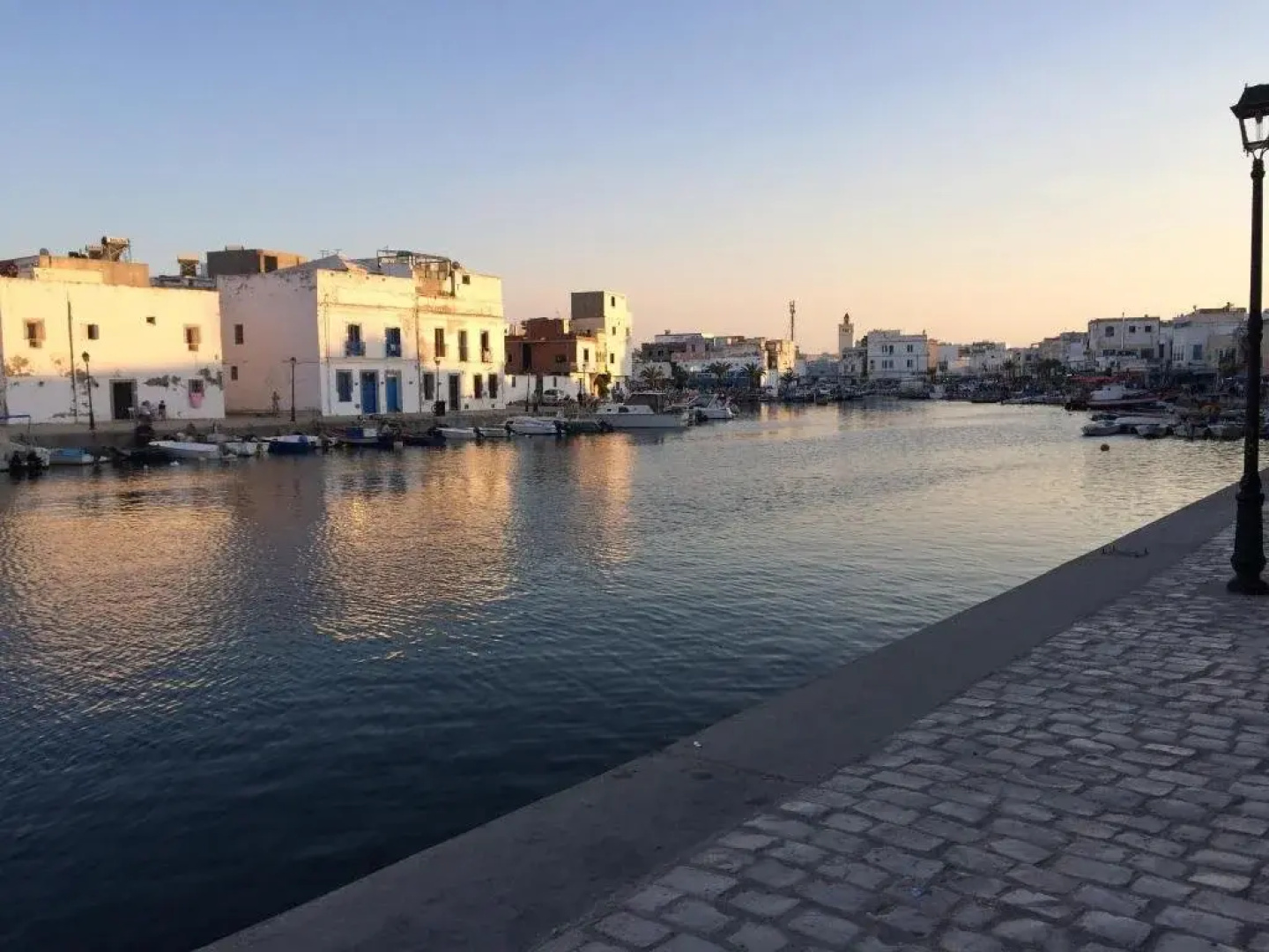 Dar Warda