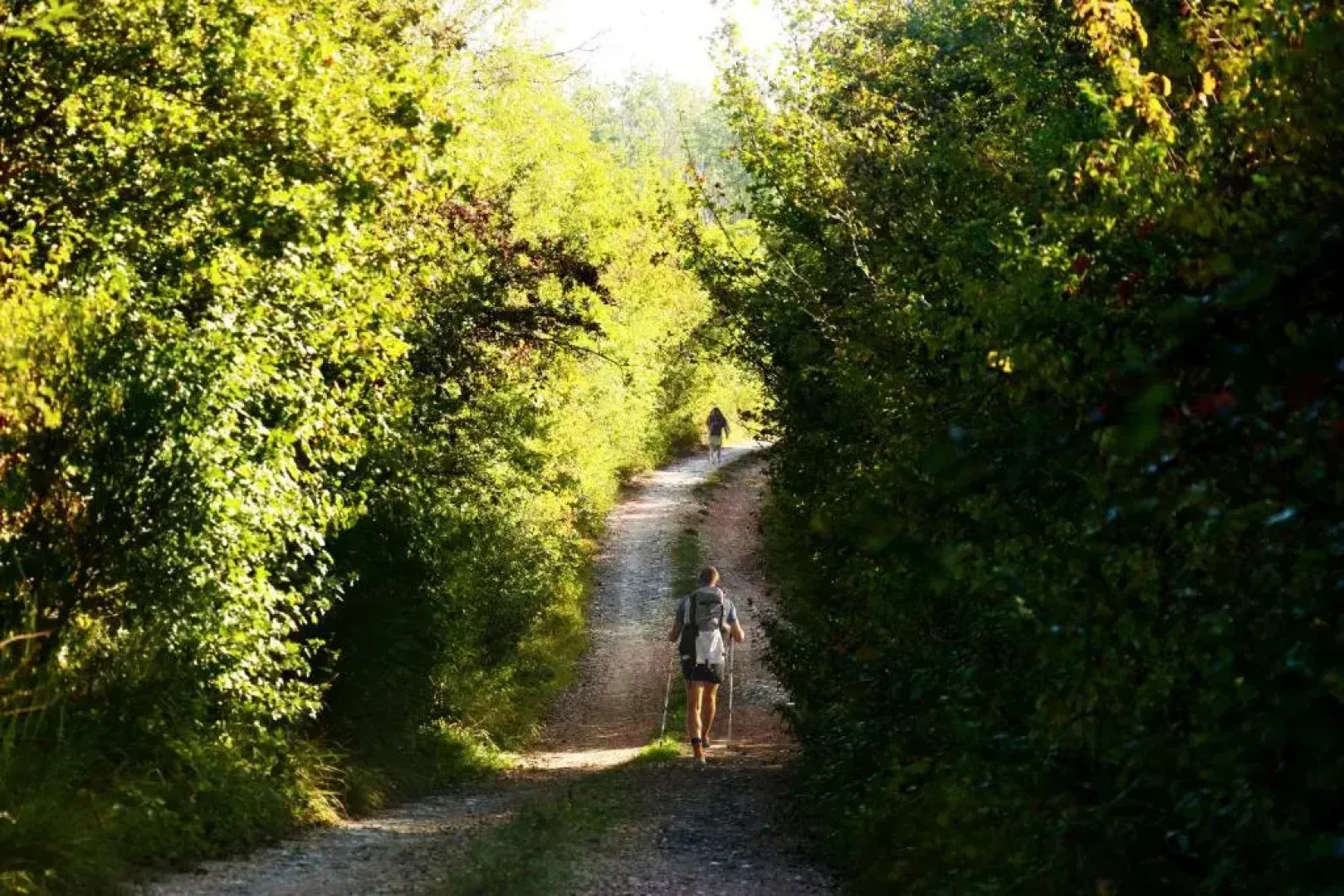 Agriturismo Fattoria Aquilone