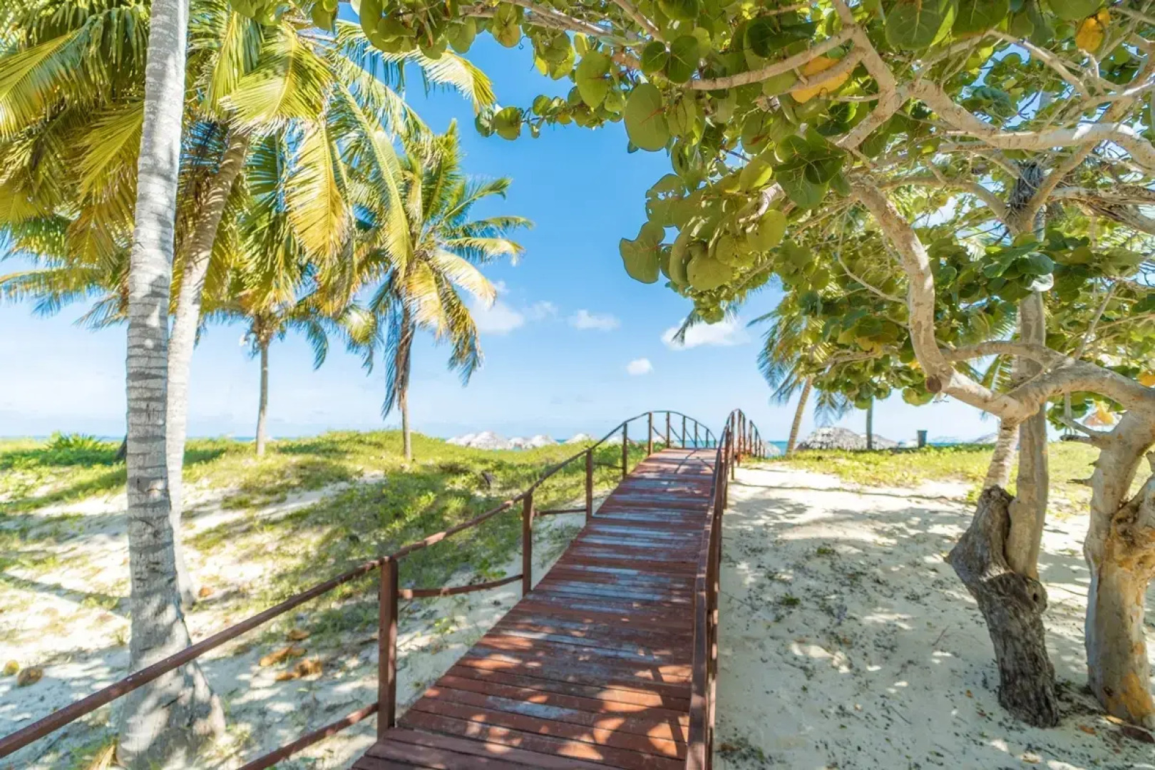 Resonance Blu Santa Maria