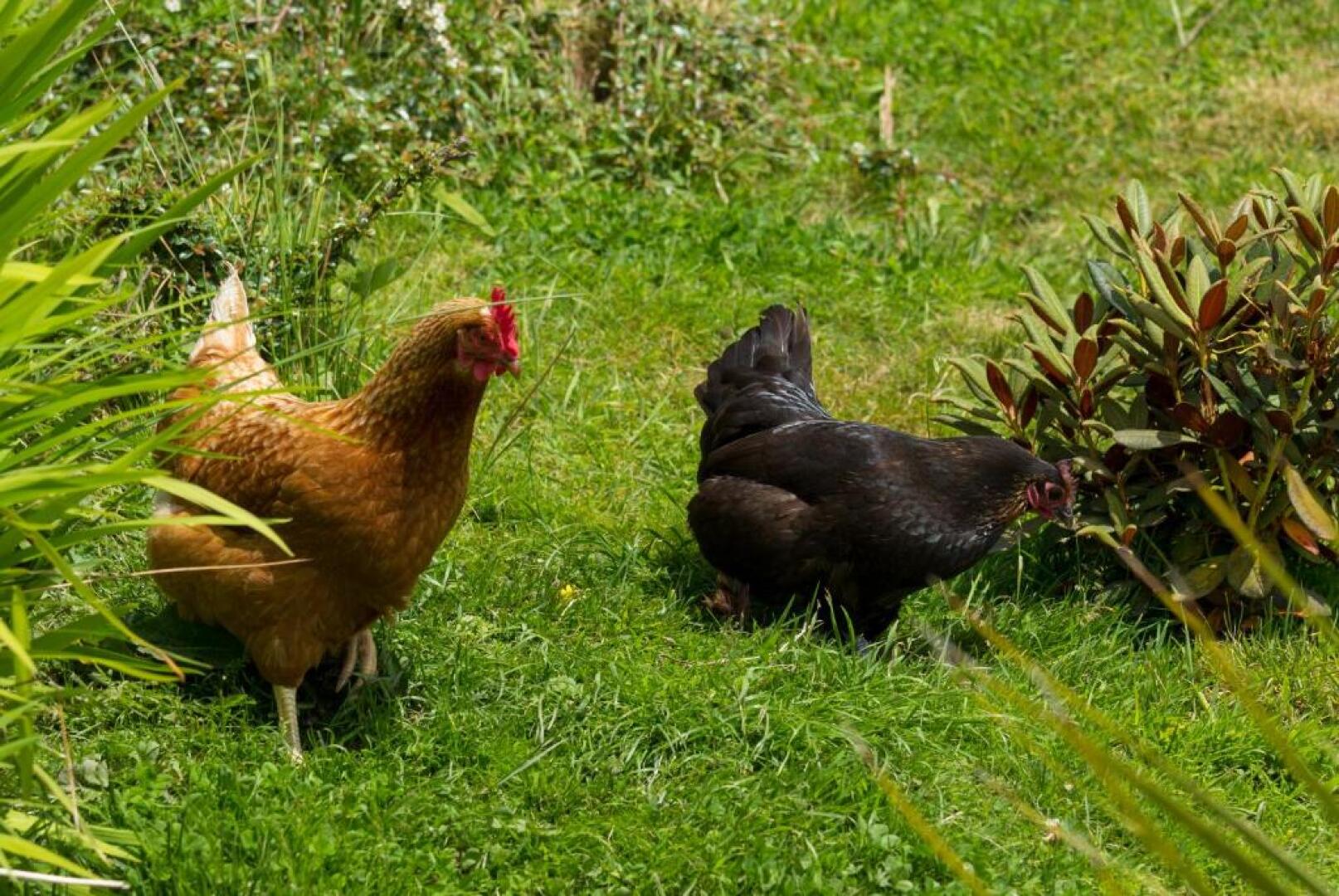 Cairnryan Bed and Breakfast