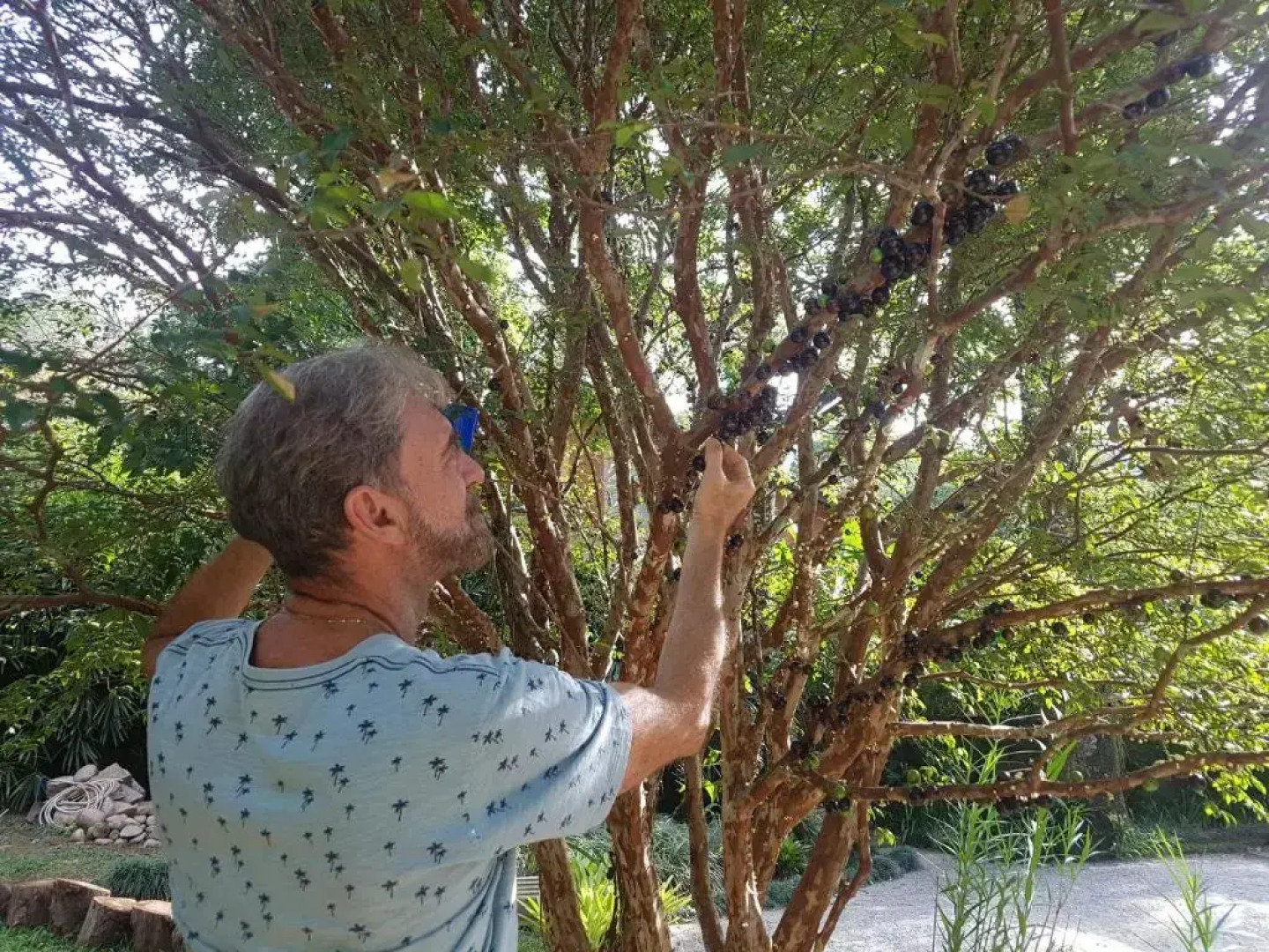 Tekoá Indiana Ecolodge