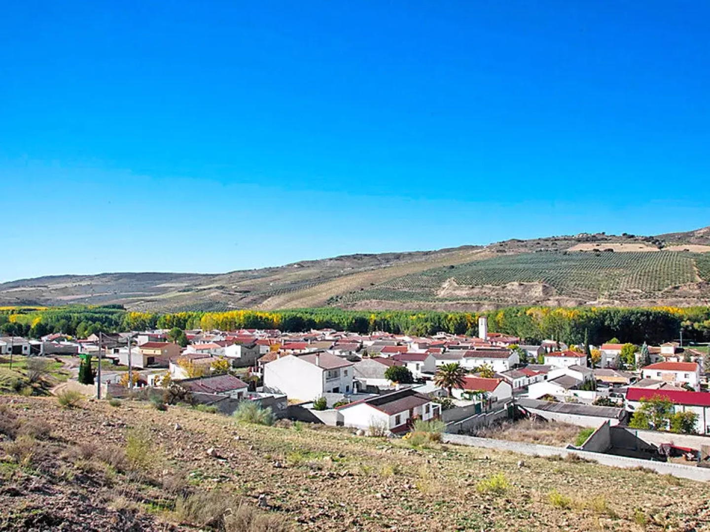 Rural Cacin