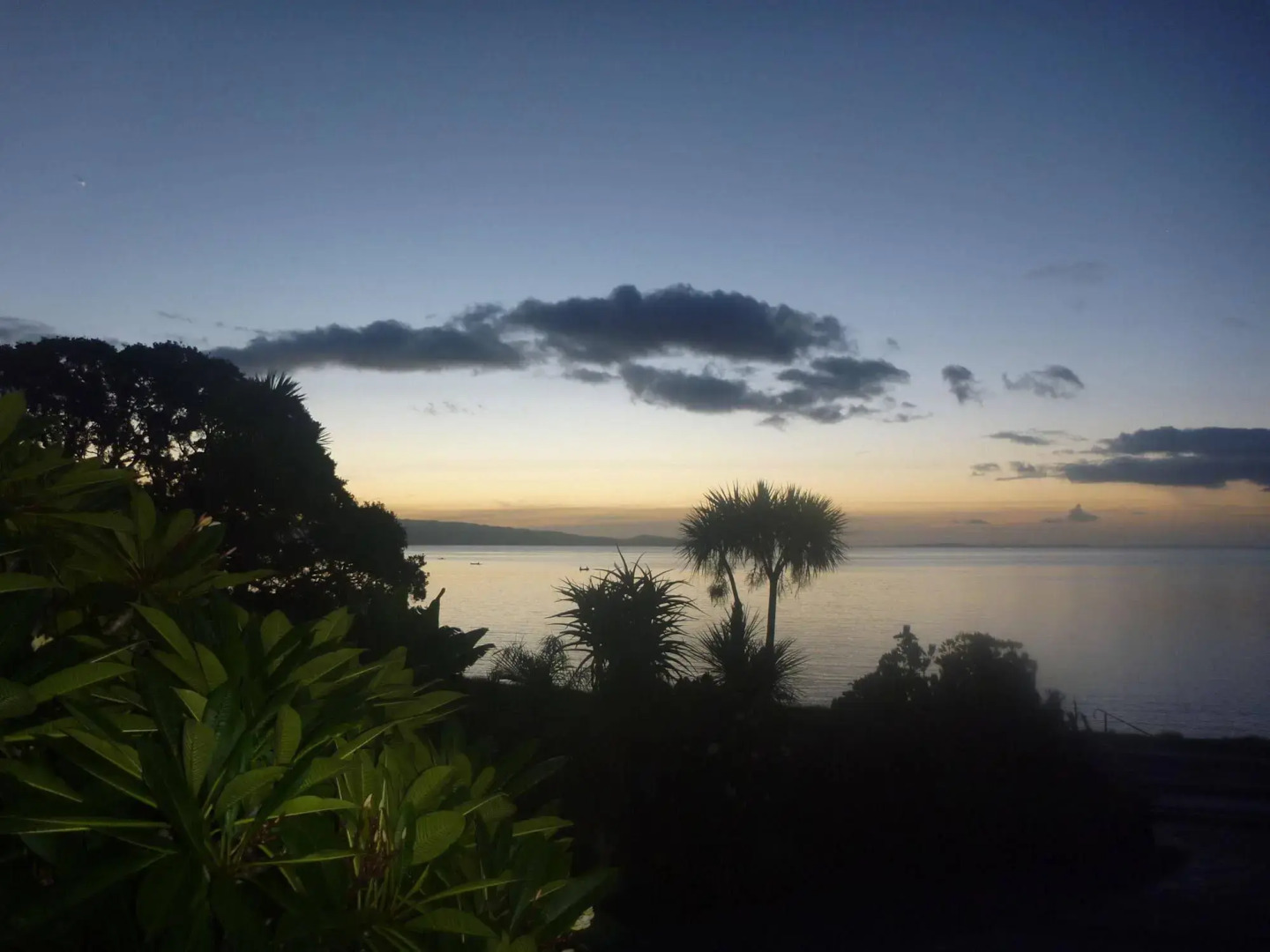 Pohutukawa Coast Bed & Breakfast