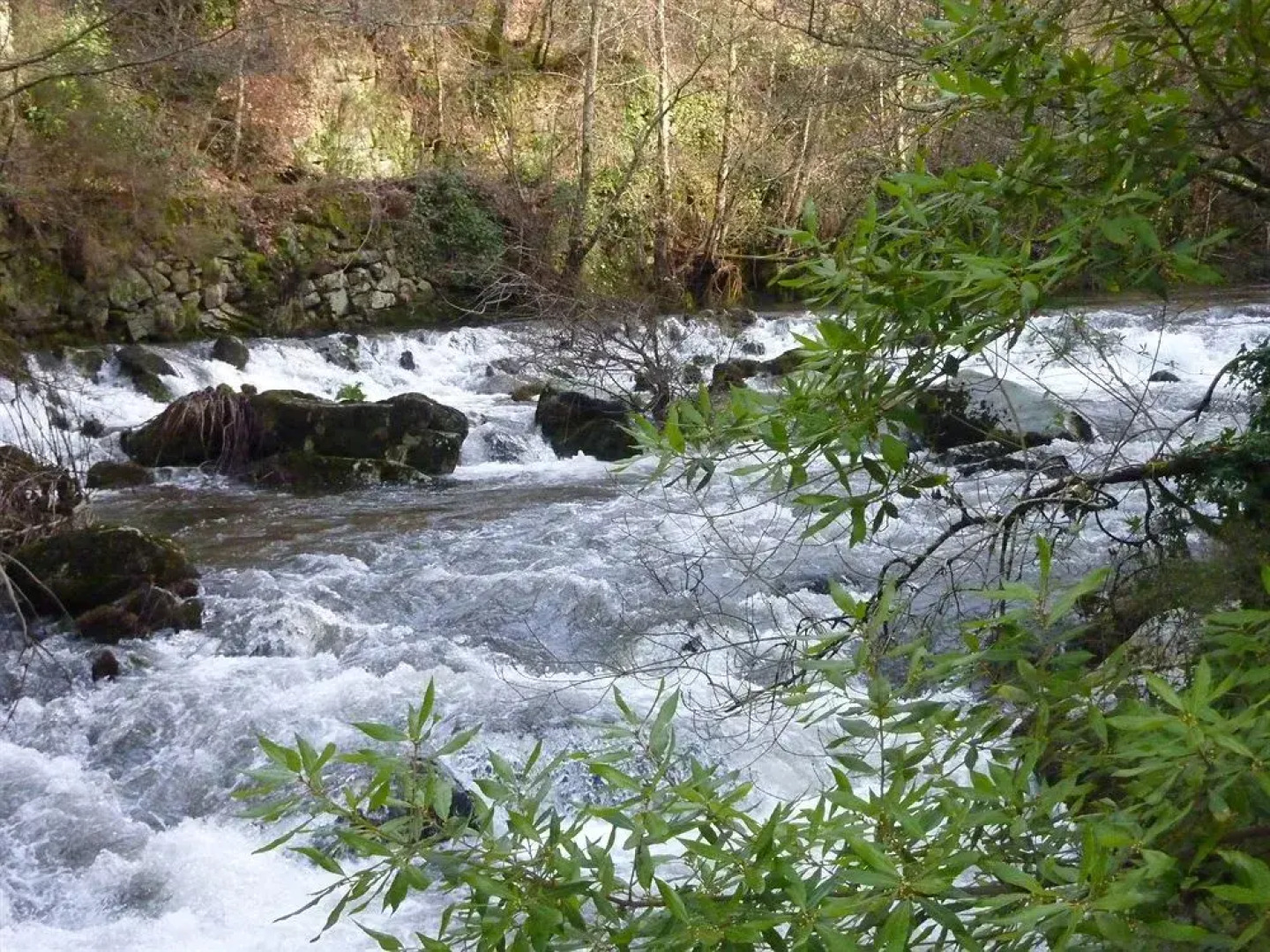 Mosteiro De S. Cristovao De Lafoes