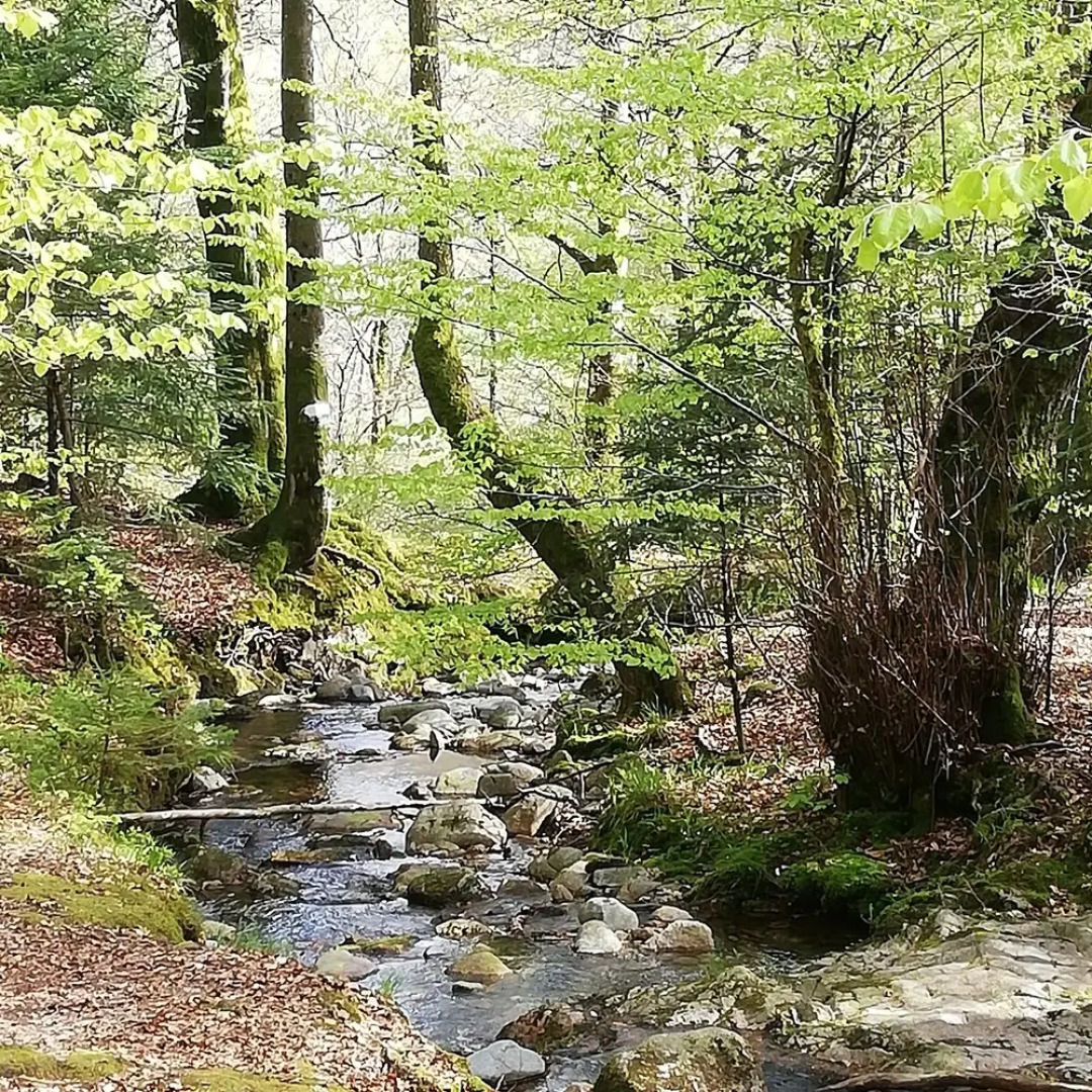 L'écrin de Masevaux