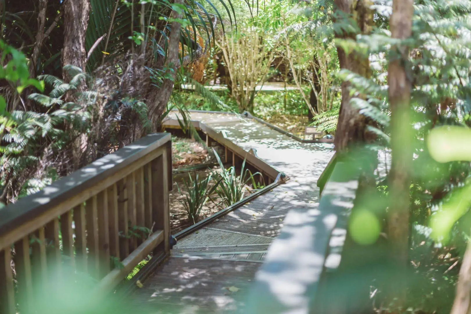 Tangiaro Kiwi Retreat