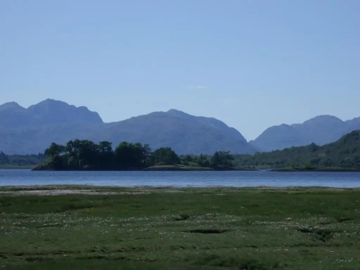 Beechwood Cottage B&B