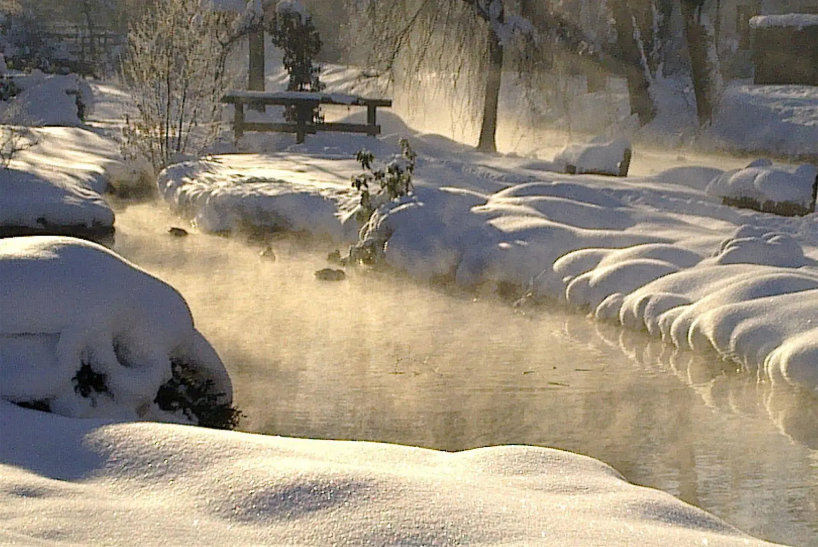 Wohlfuehlhotel Goiserer Muehle