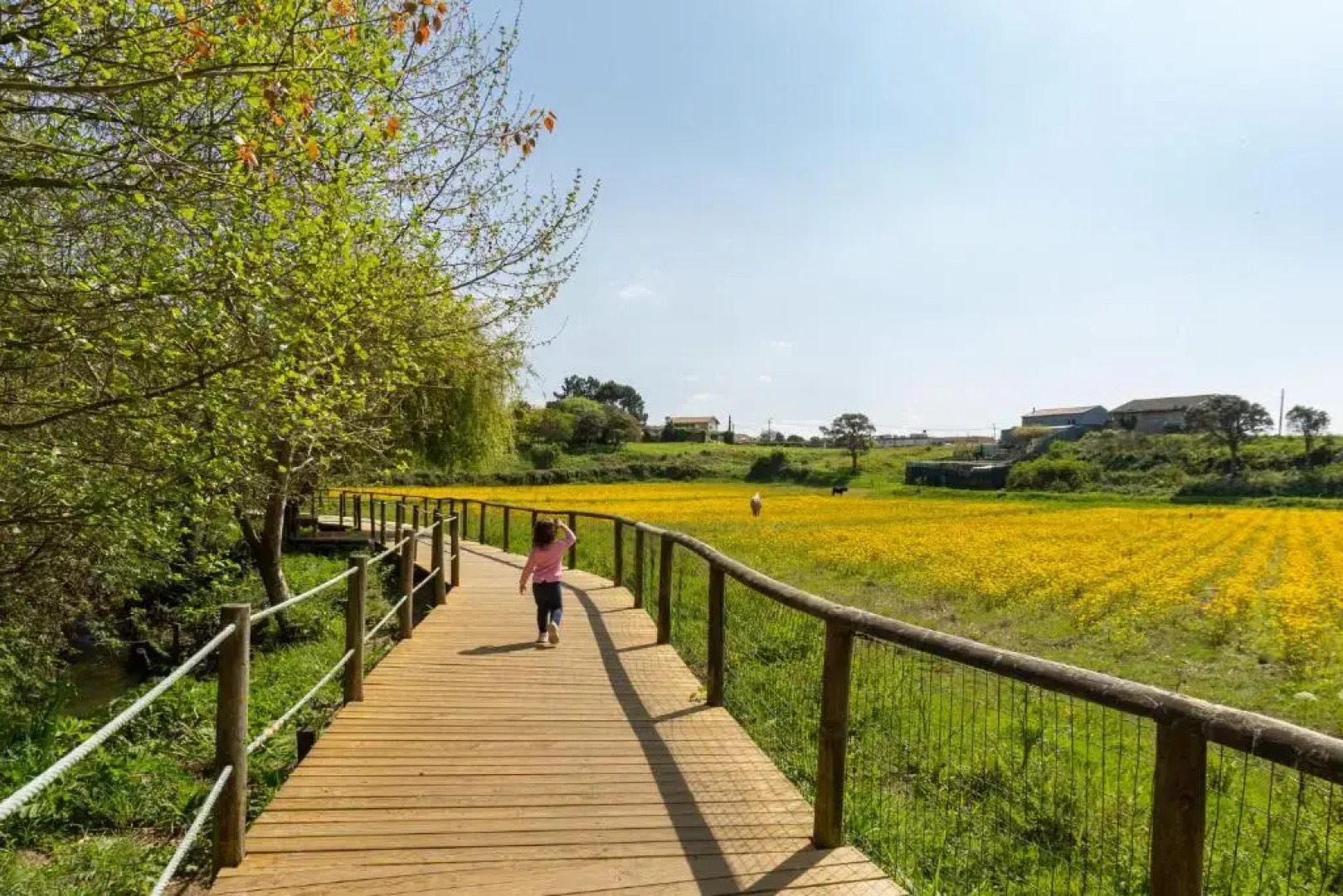 Casa da Praia em Valadares