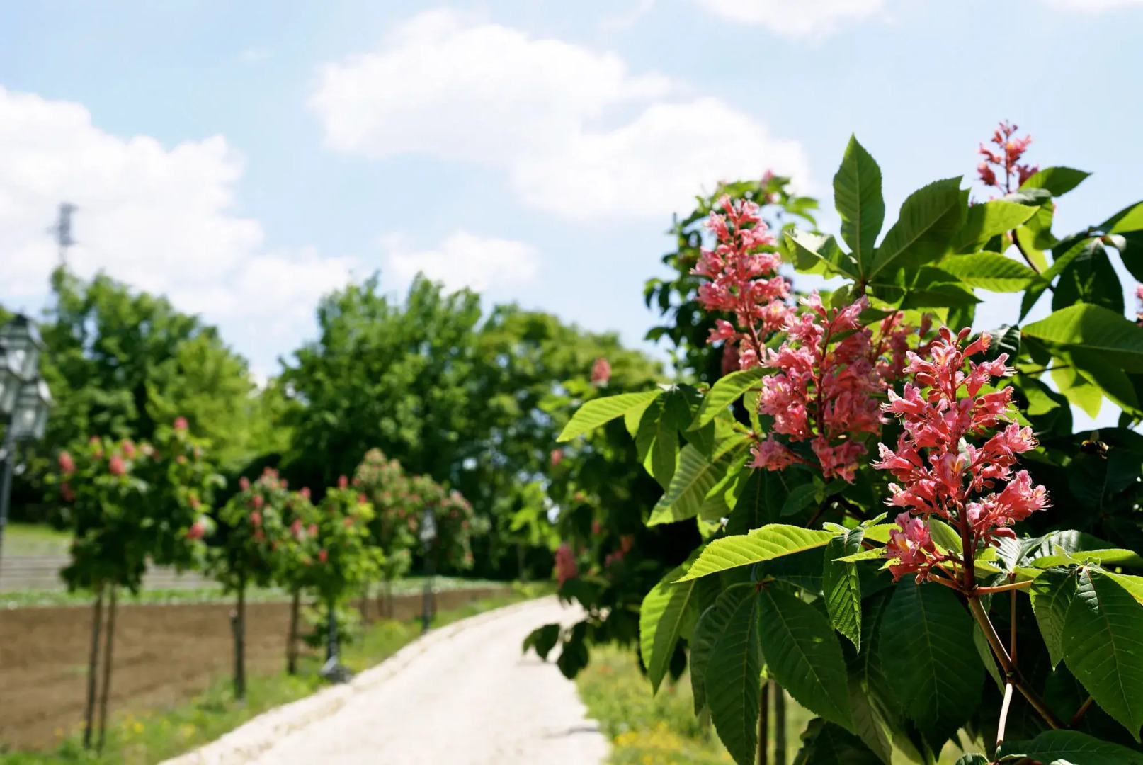 La Pampa Relais & Spa