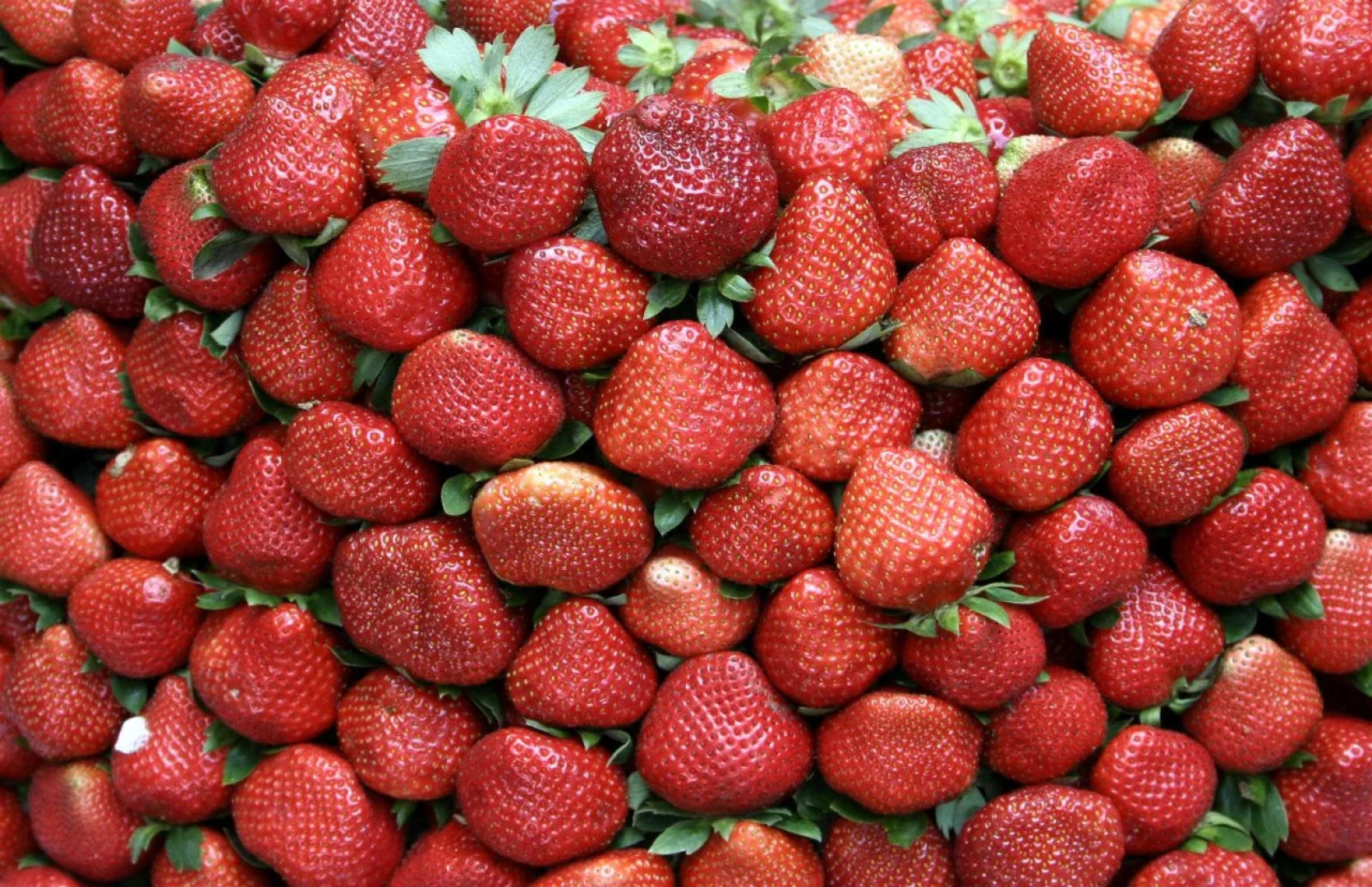 碧瑶圣帕特里克度假村(St.Patrick Village Baguio)