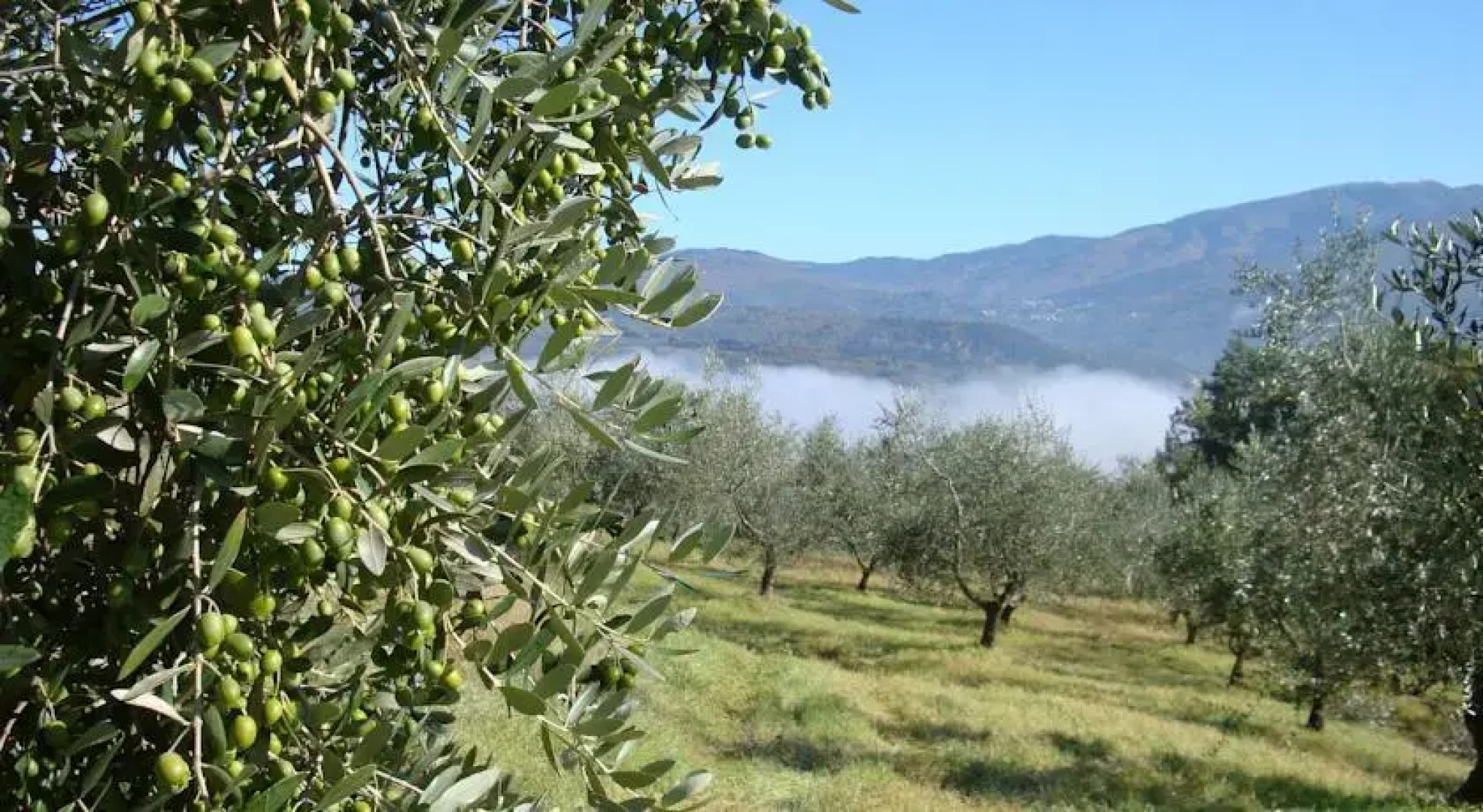 Casa Vacanze La Favilletta