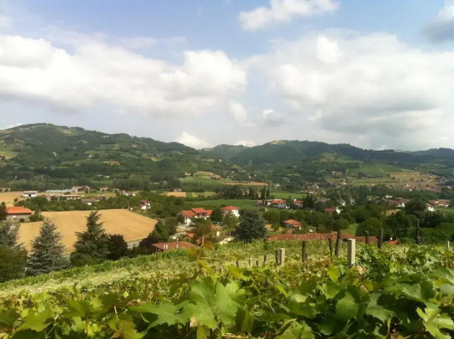 Agriturismo Poderi Zunino