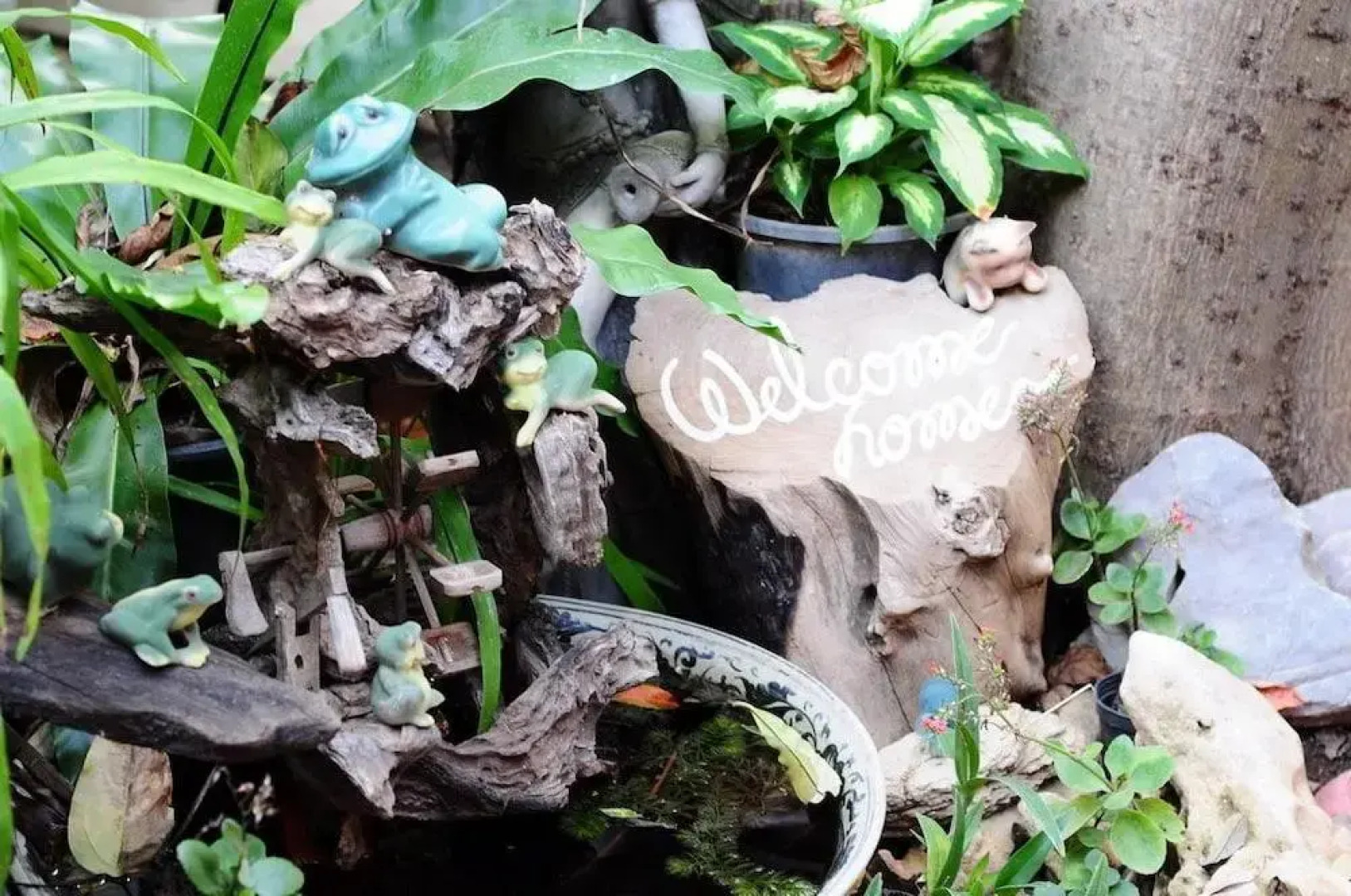 Sukhothai Guest House