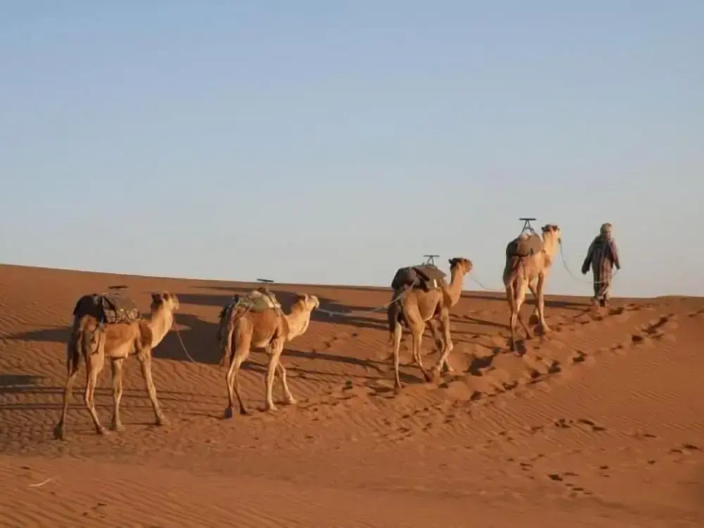 Bivouac Karim Sahara