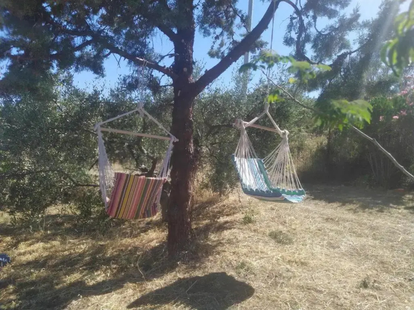 Real Holidays Antoniadou - Rustic House