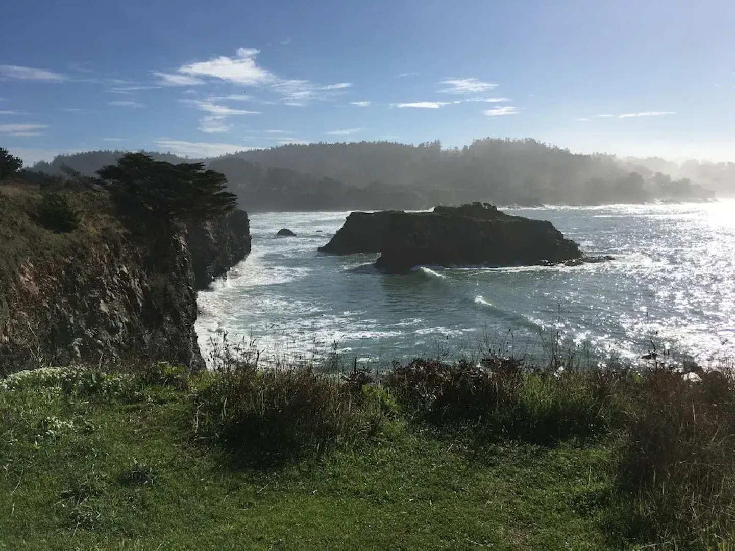 Mendocino Grove