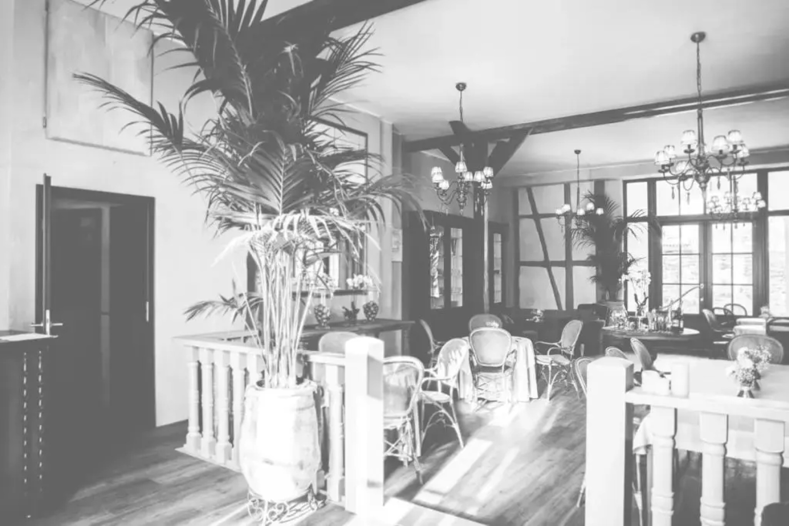 Hotel Bellini