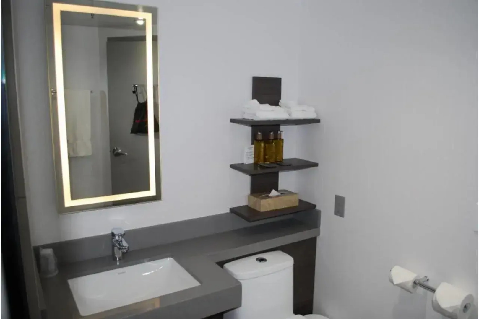 DoubleTree by Hilton Ottawa Downtown