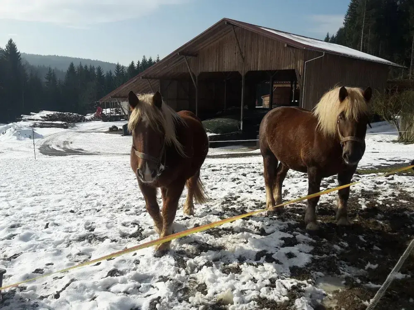 Ferienwohnung Schmalzgrub