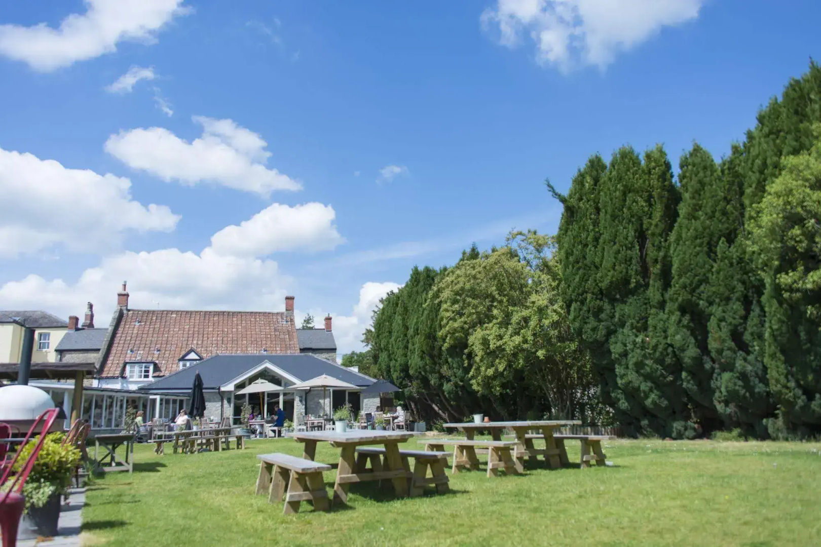 The Swan