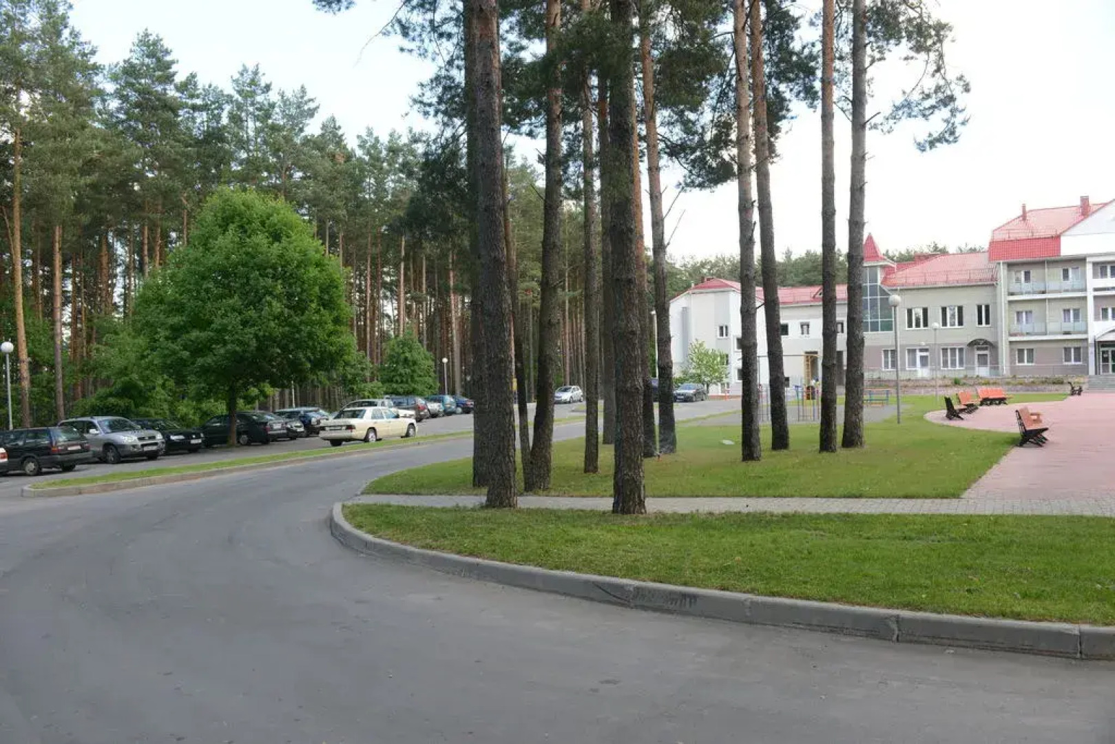 Сосны (Гомельская обл.)