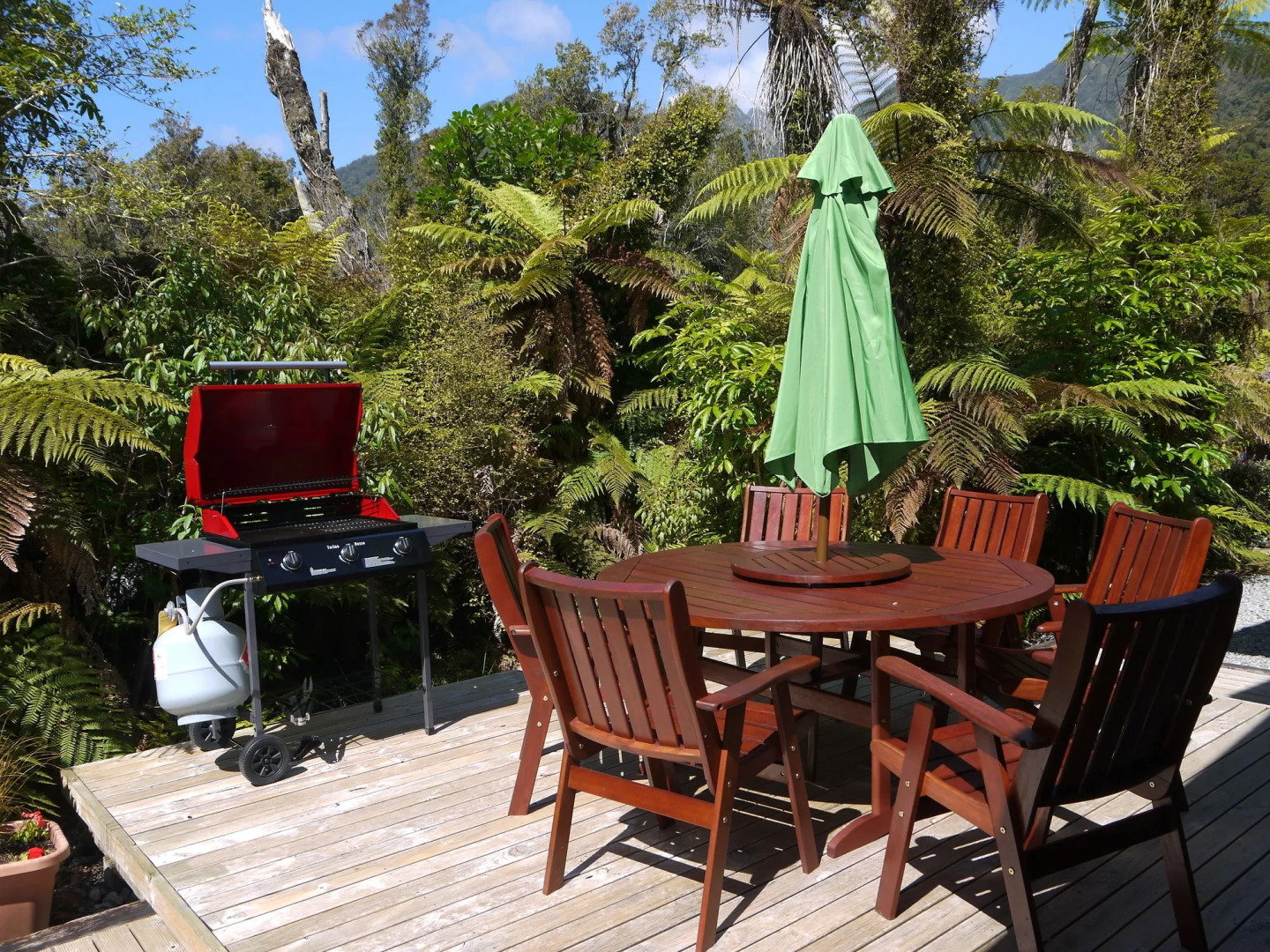 Franz Josef Treetops