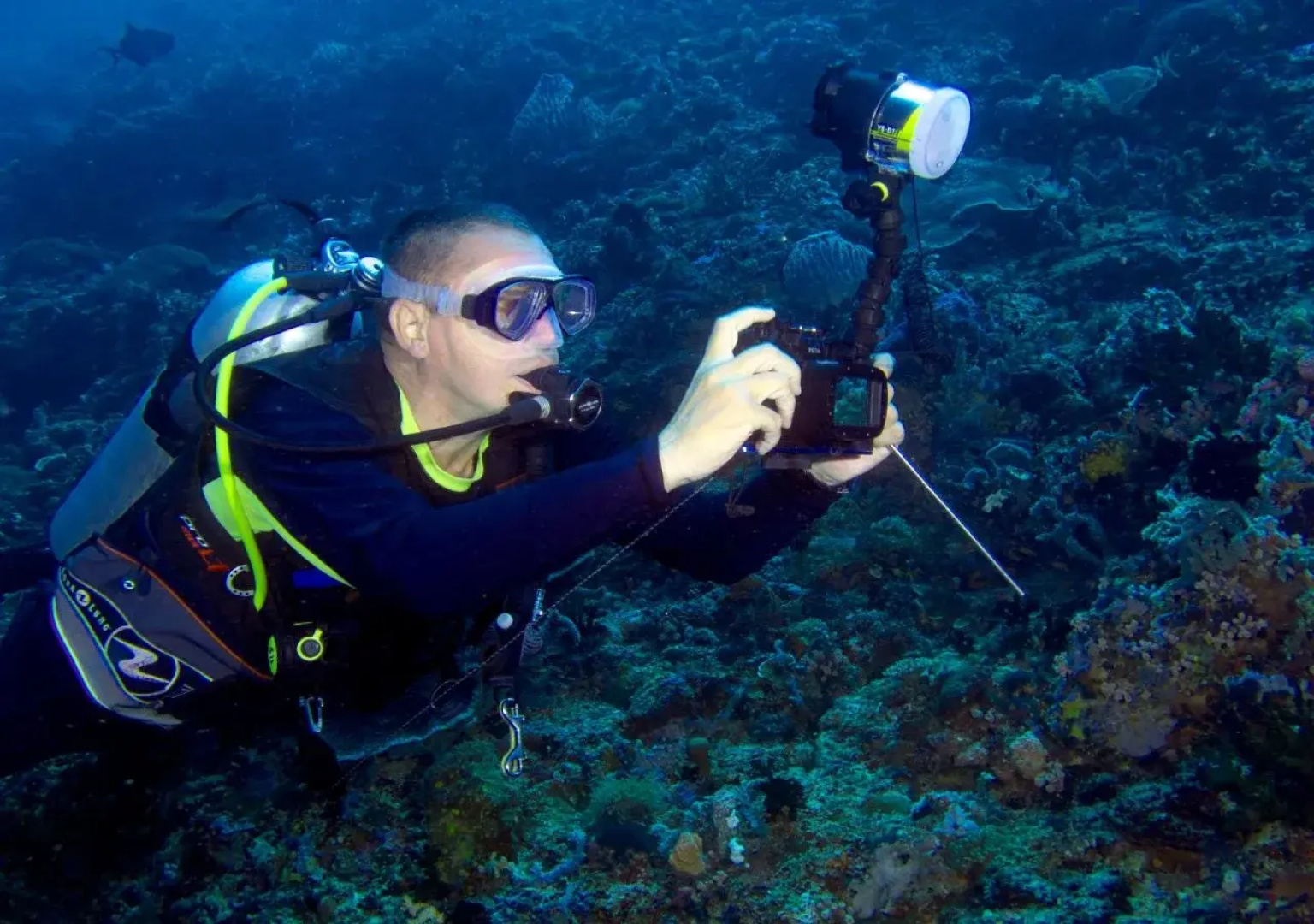 Blue Ribbon Dive Resort