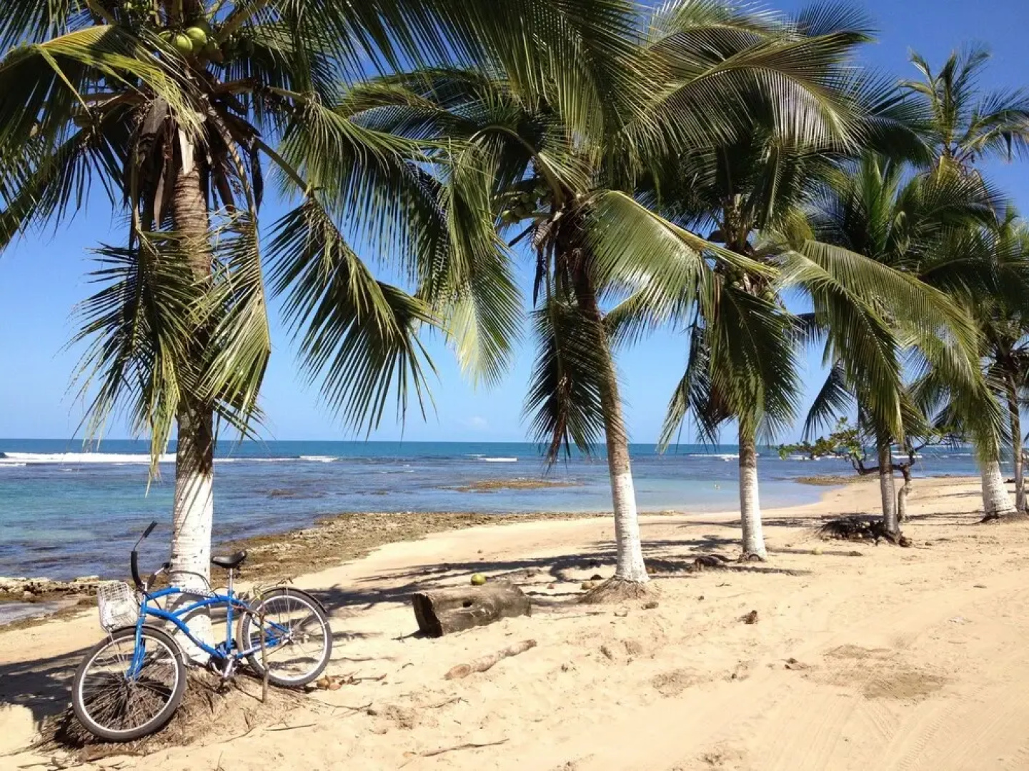 Physis Caribbean Bed & Breakfast