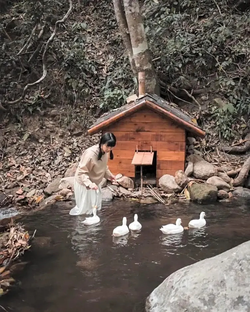 Cliffver คลิฟฟ์เวอร์