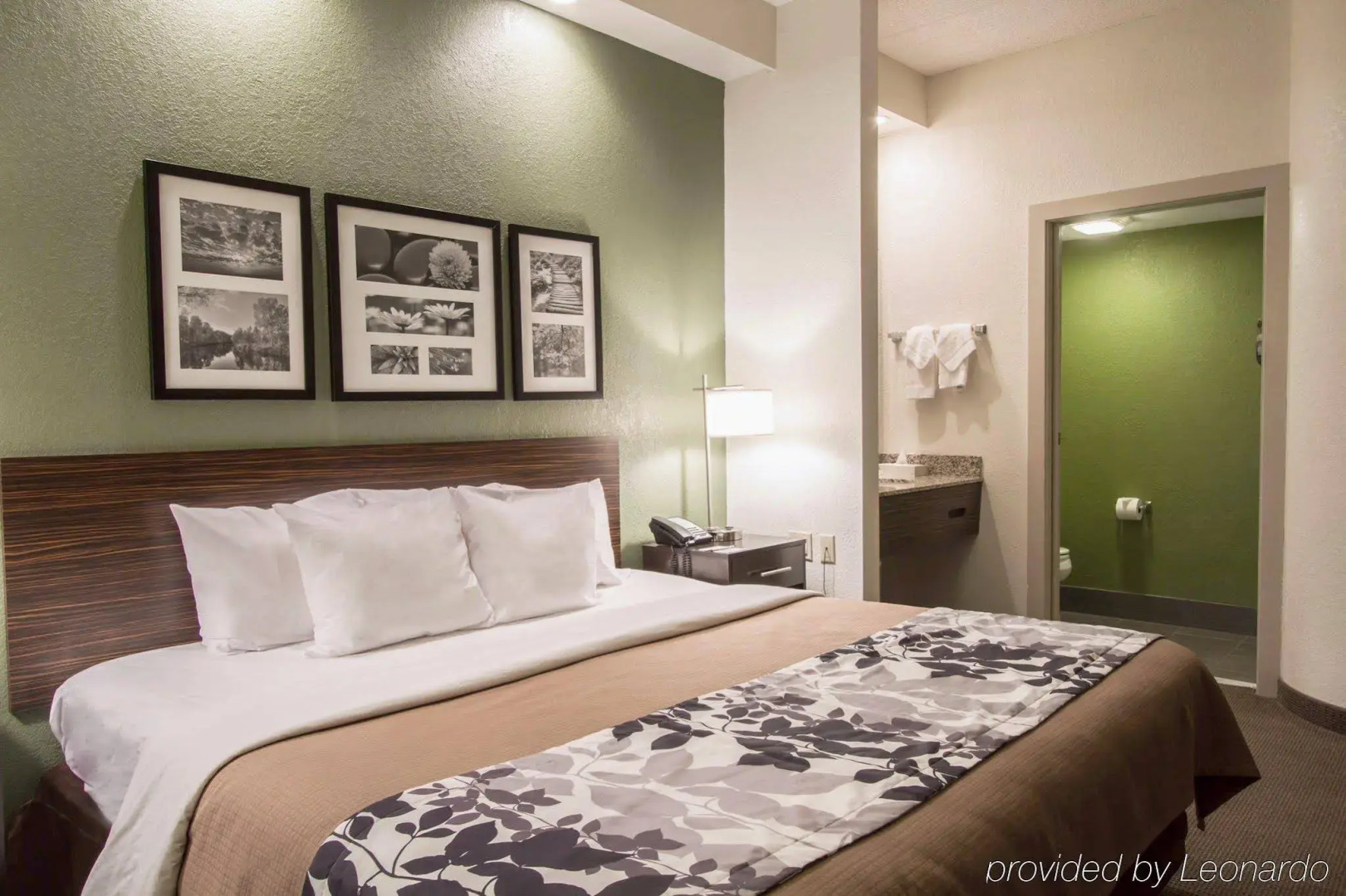 Sleep Inn & Suites Buffalo Airport