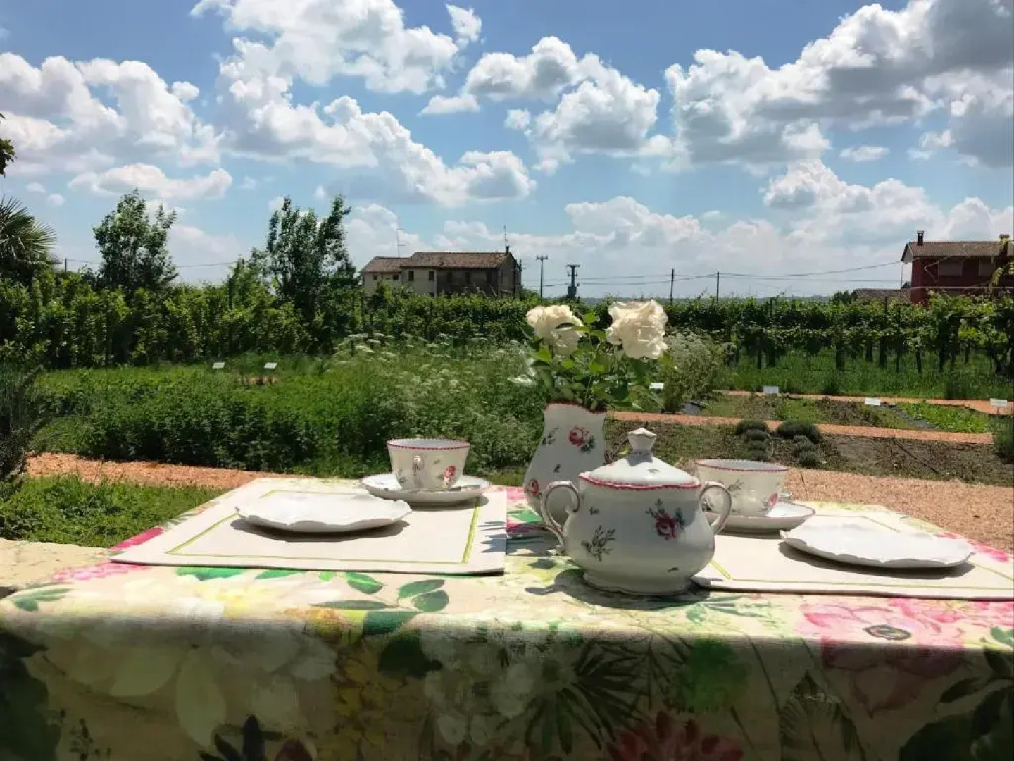 Fiori&vigne di Cecilia Marcon