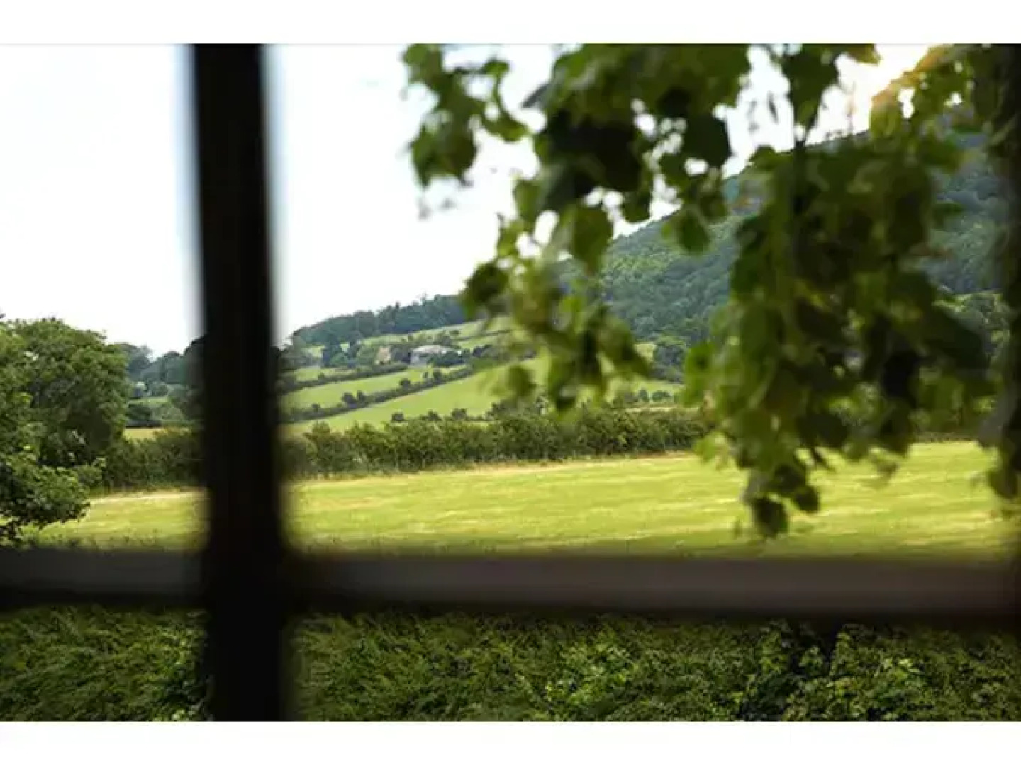 The Cleveland Tontine