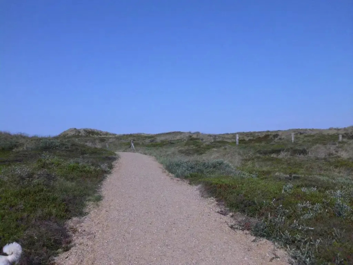 Ferienwohnung Deichgraf