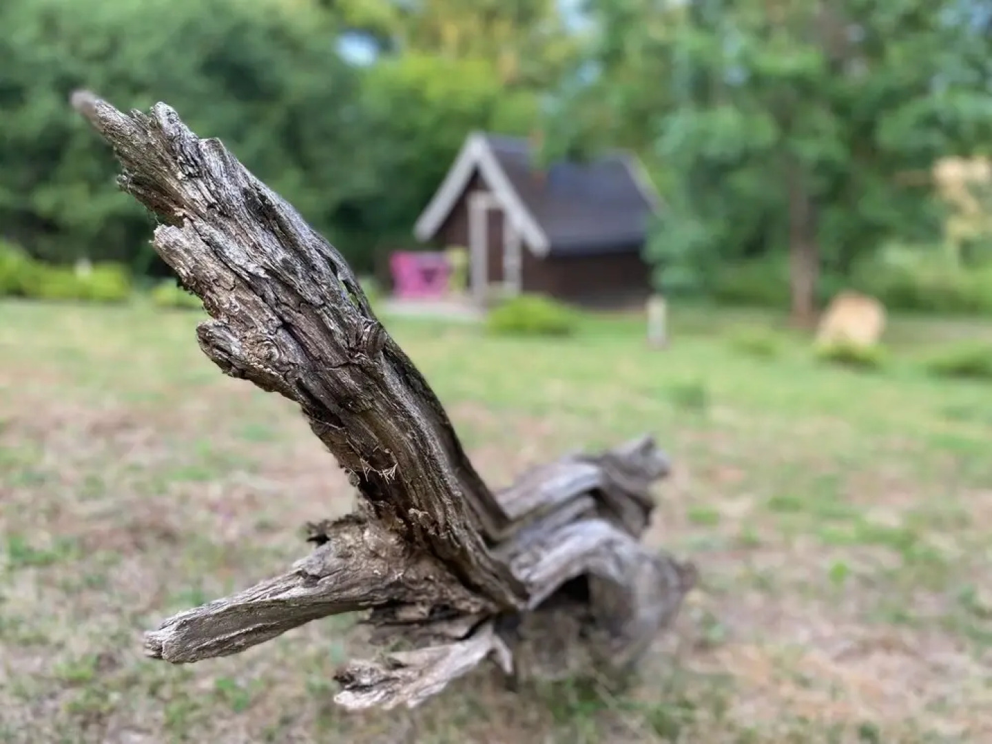 Au Repère des Elfes