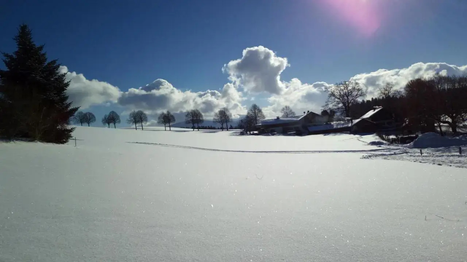 Ferienwohnung Elisabeth
